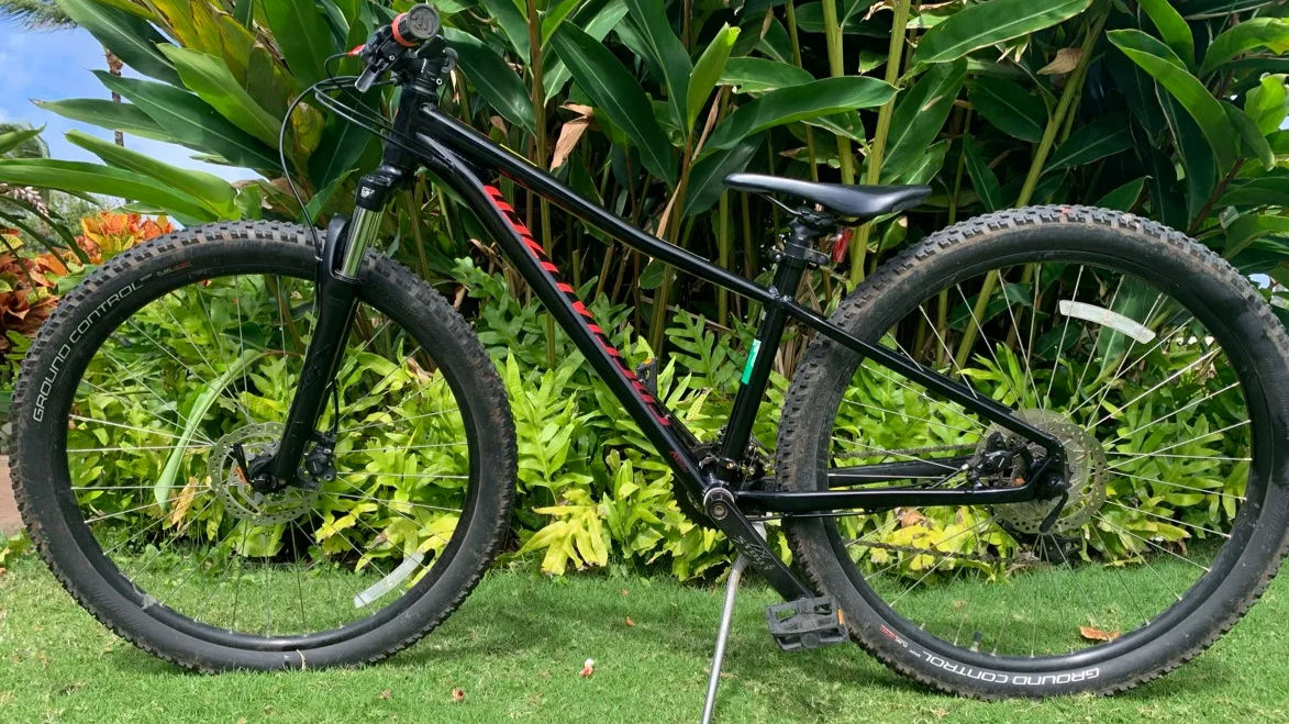 Specialized pitch expert discount 2019 mountain bike