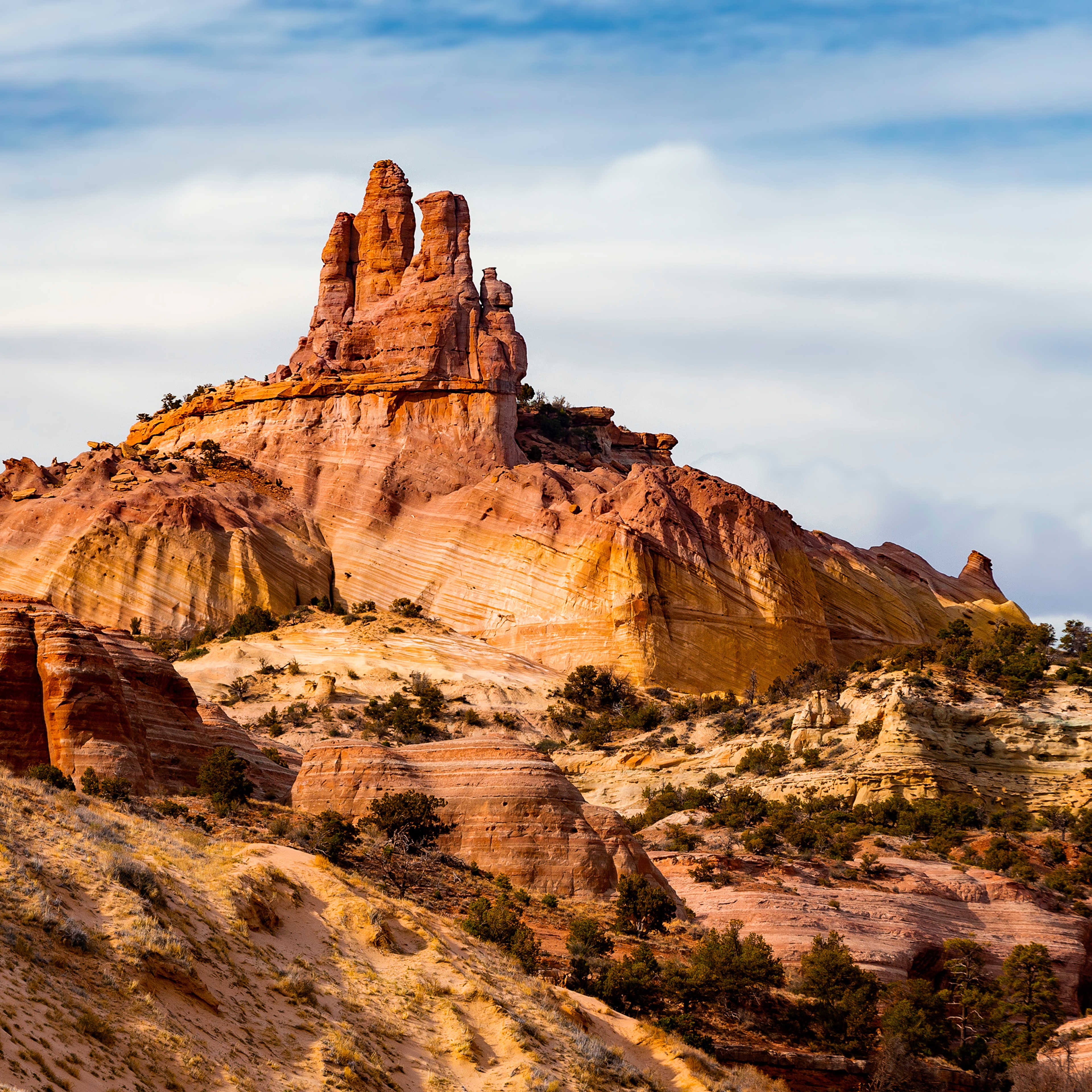 New Mexico
