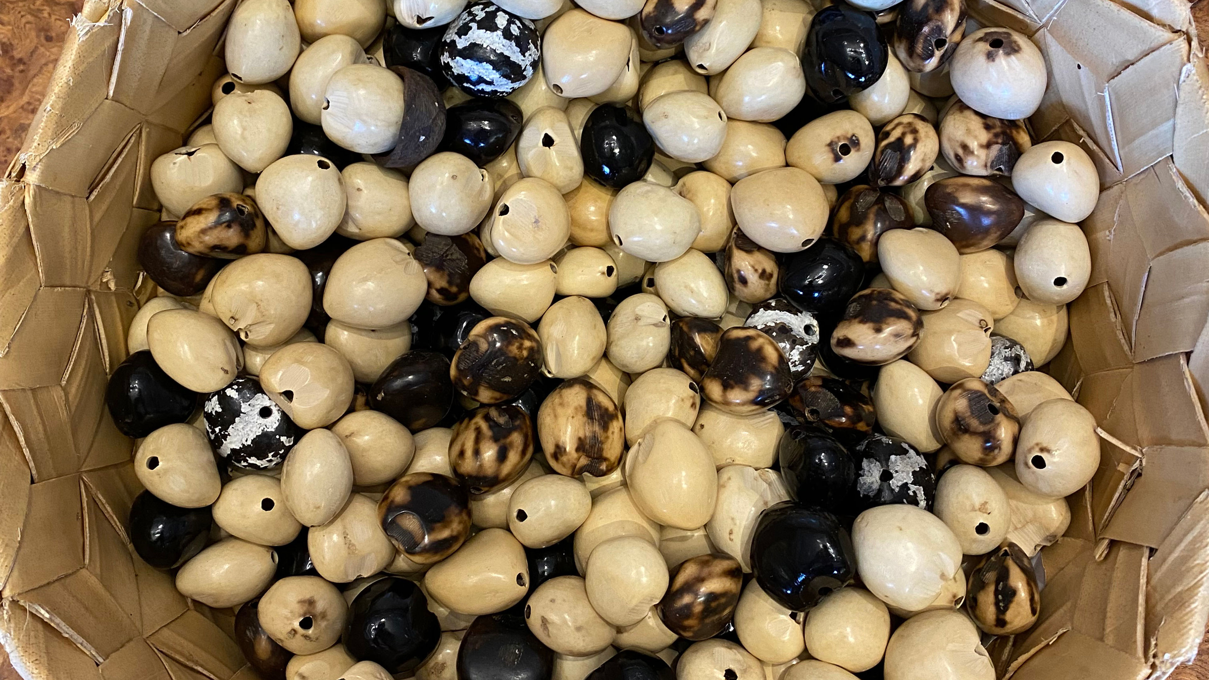 La'au Kukui - deslizar 2