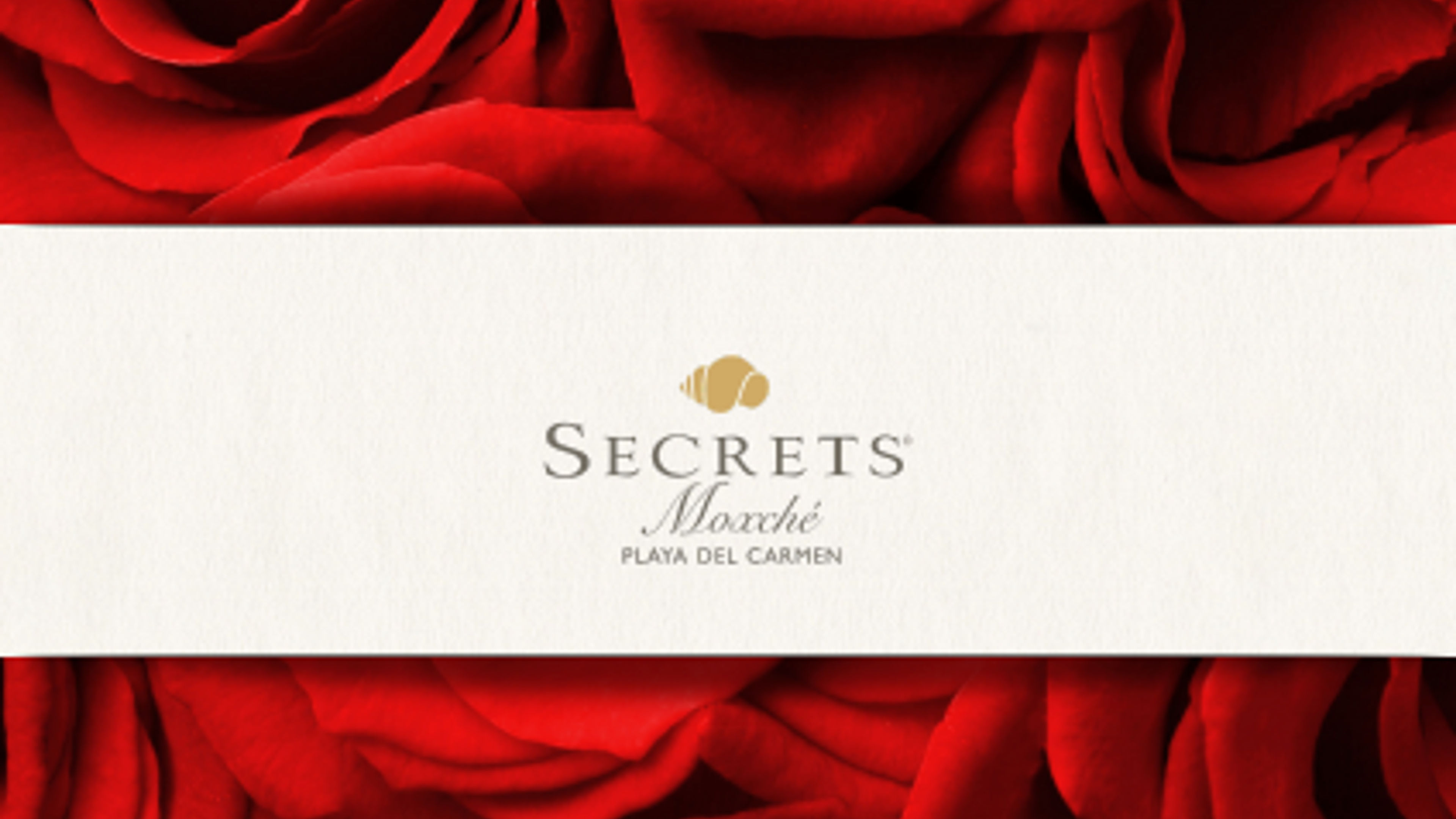 Romantic Dinner  - 滑动 2