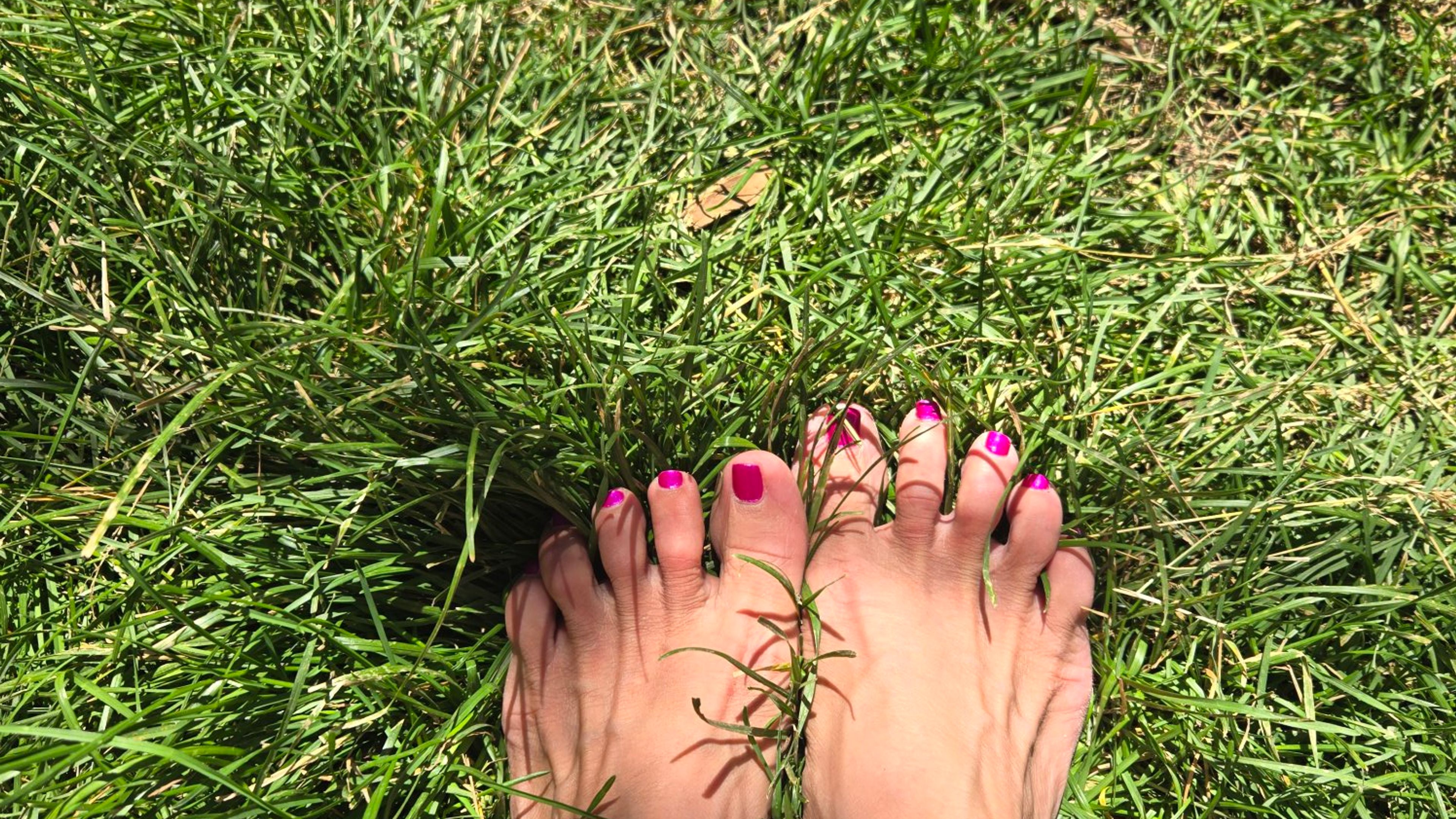 Nature Meditation Walk  - 슬라이드 4