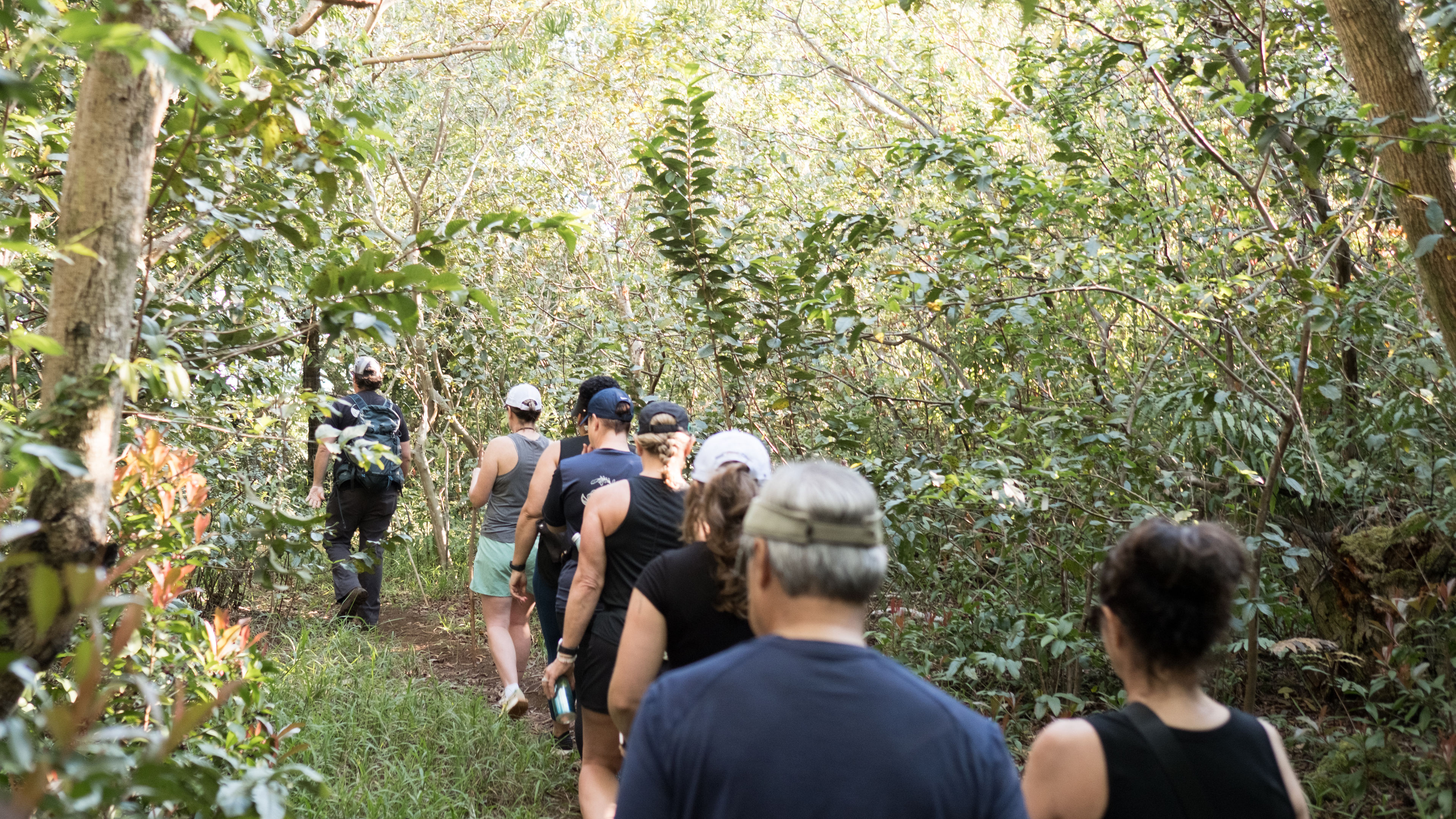 Honolua Ridge Hike - slide 1