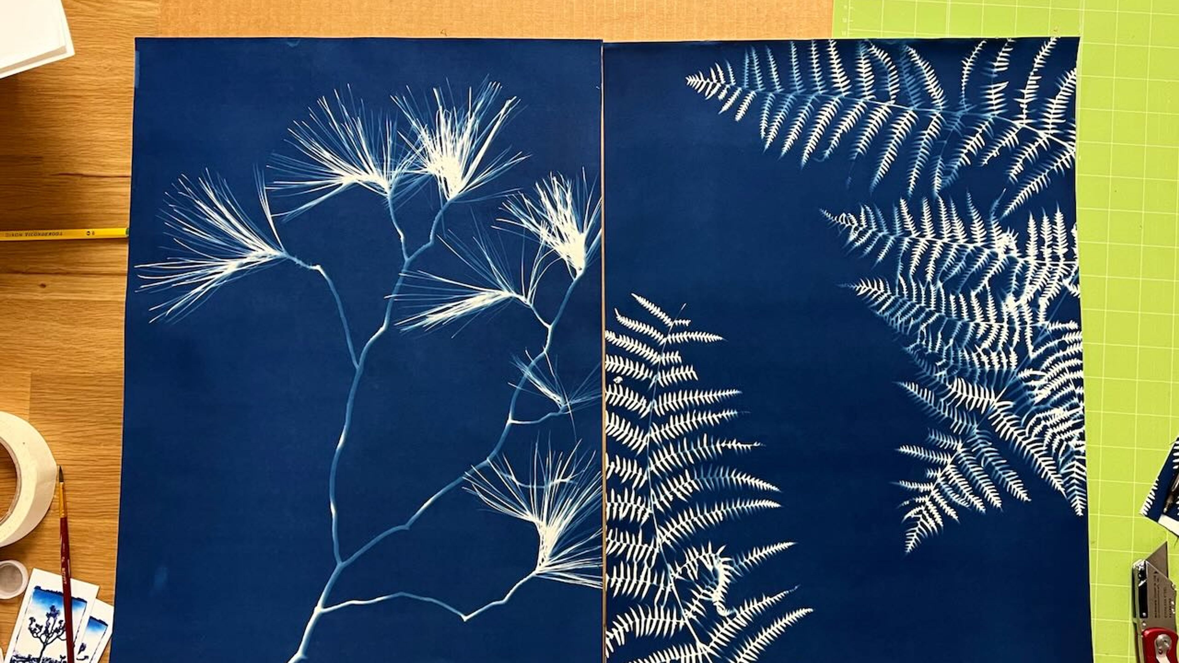 Make Sun prints in the Desert - slide 1