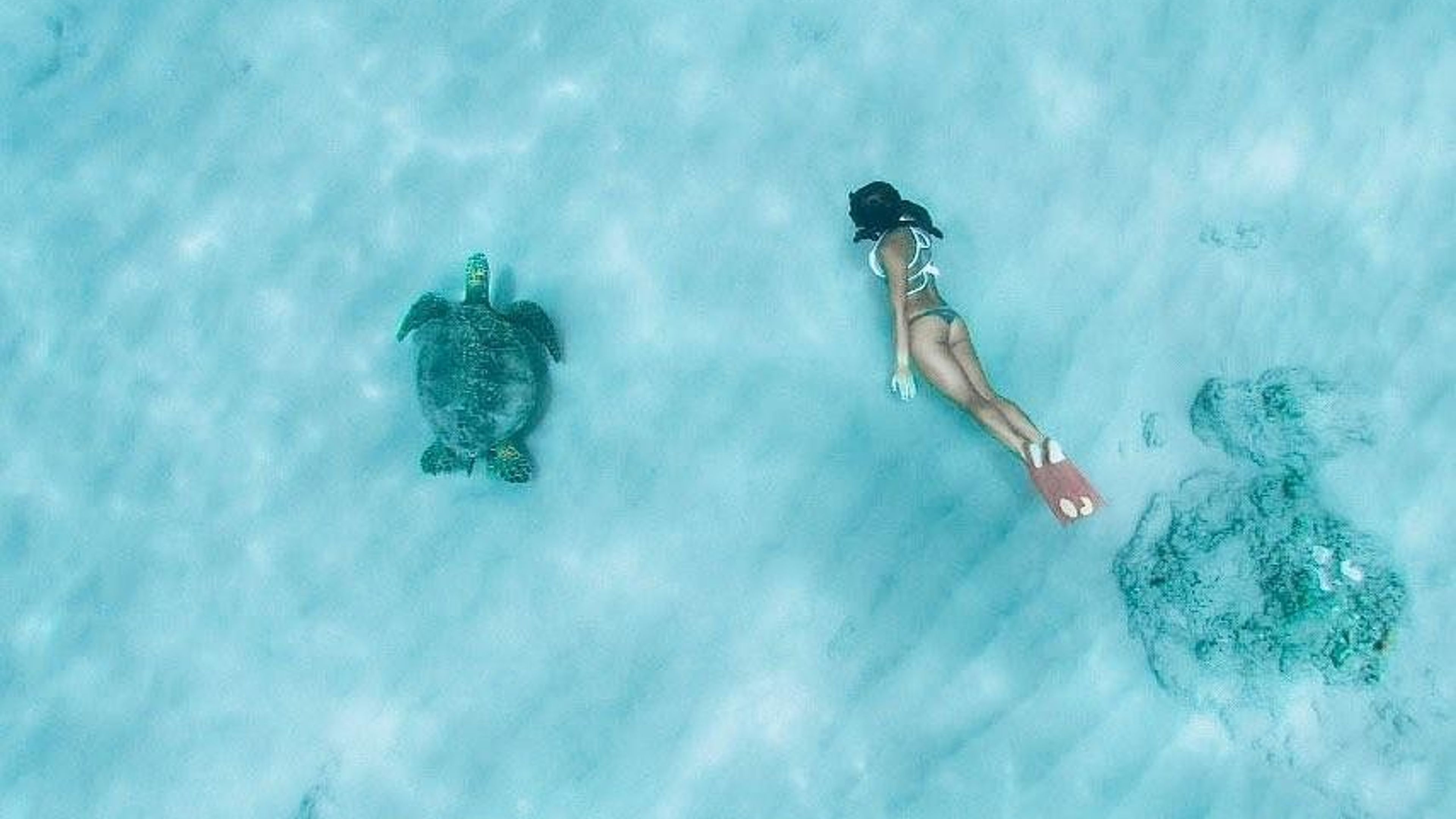 Ko Olina Exclusive Snorkel + Lunch - slide 3