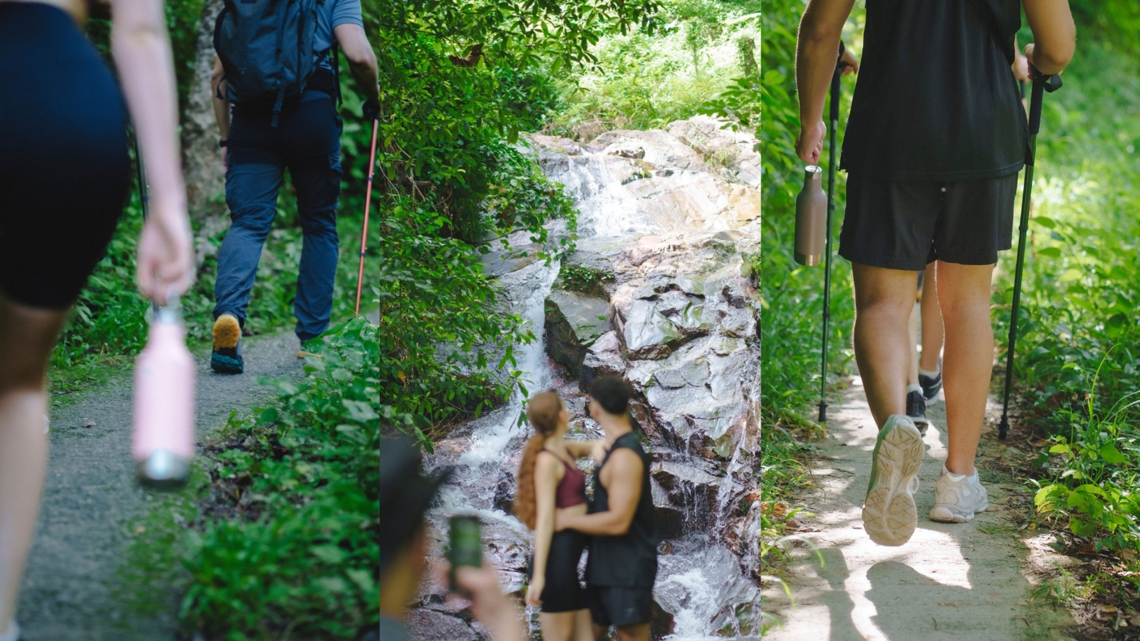 Guided Hiking Through Kamala’s Hidden Trails - 滑動 3