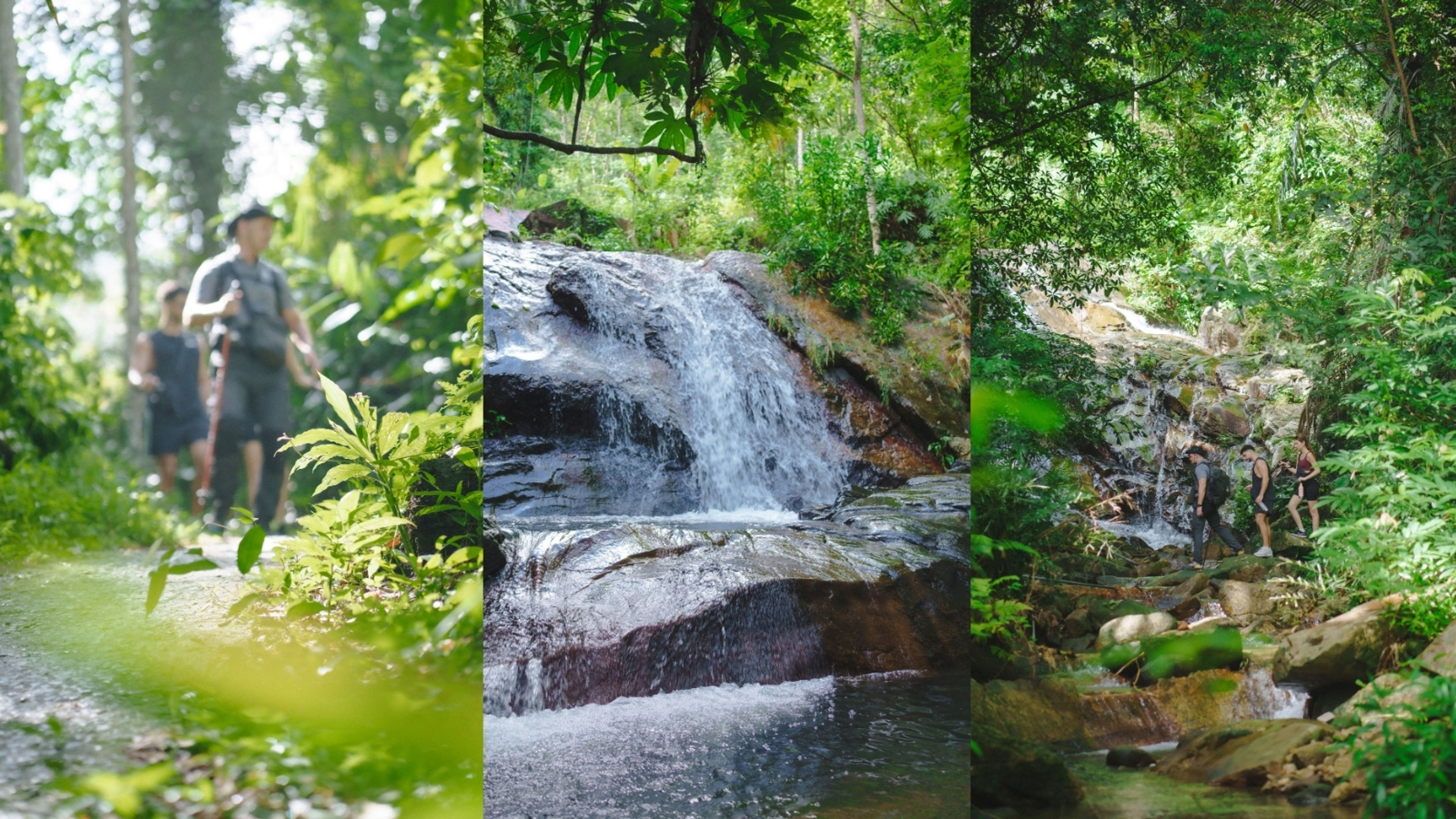 Guided Hiking Through Kamala’s Hidden Trails - 滑動 5