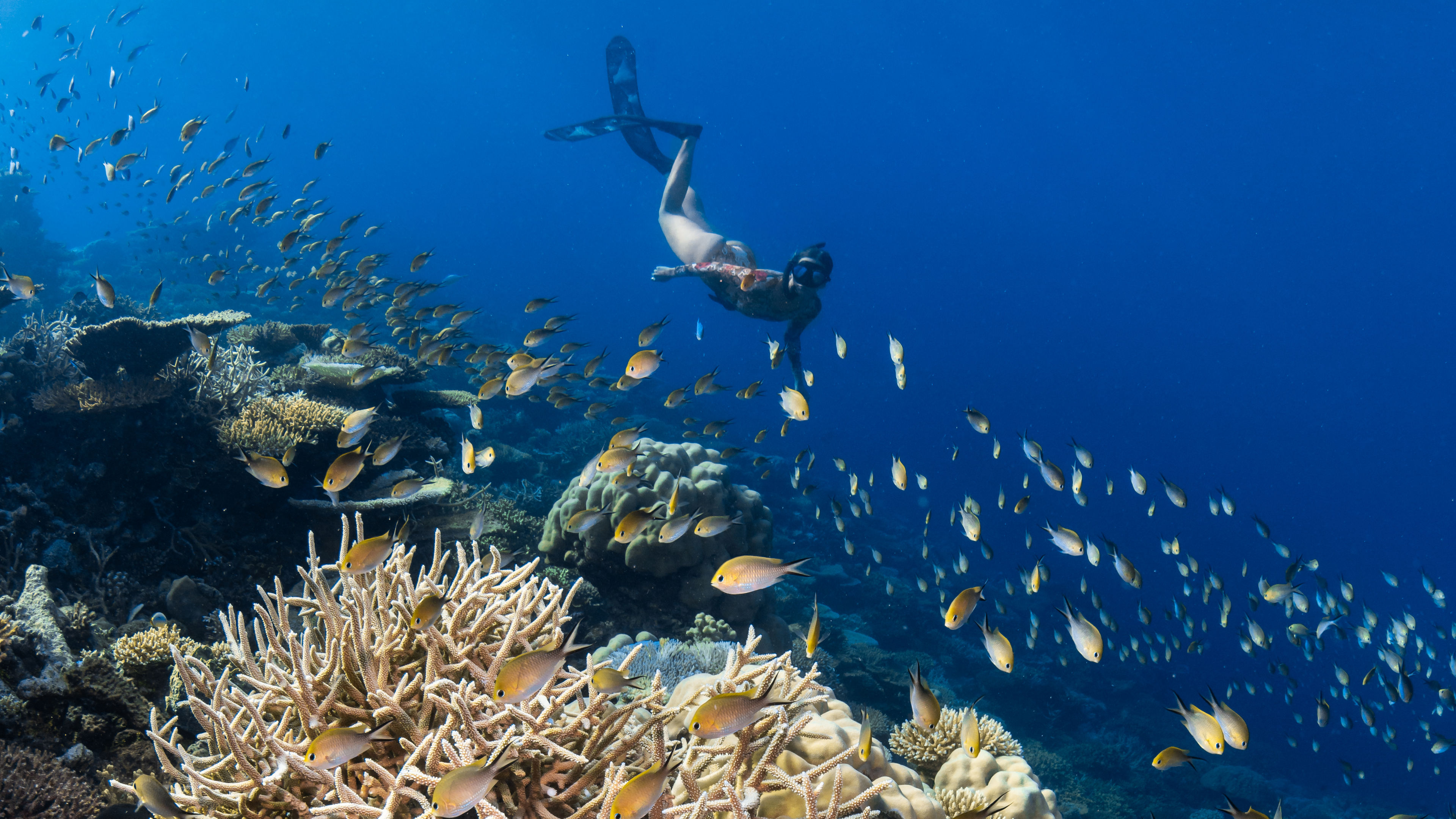 Off-Island Reef Exploration - slide 1