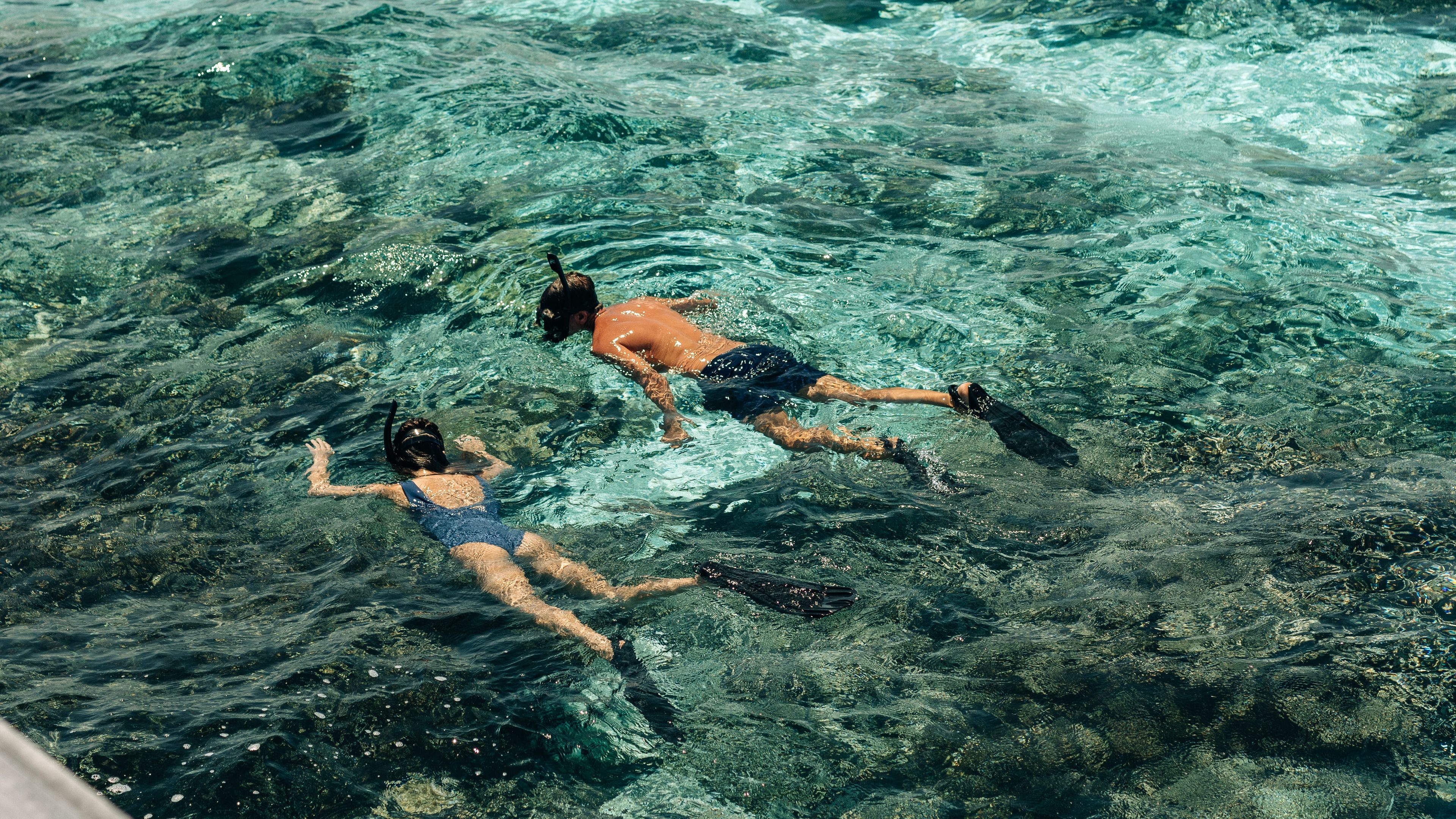 House Reef Guided Snorkeling  - 슬라이드 1
