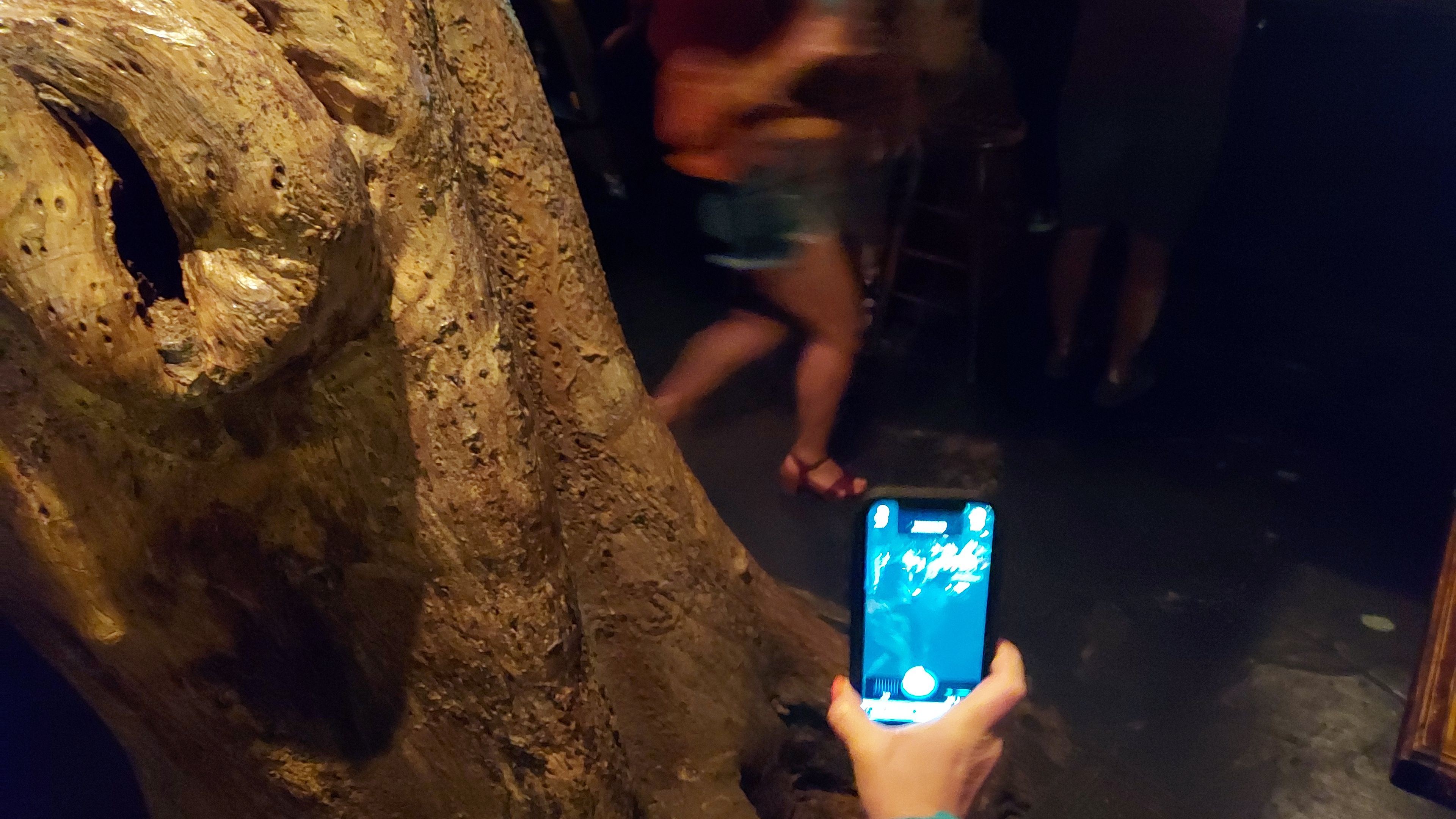 Private Ghost Tour and Nightlife Experience - slide 12