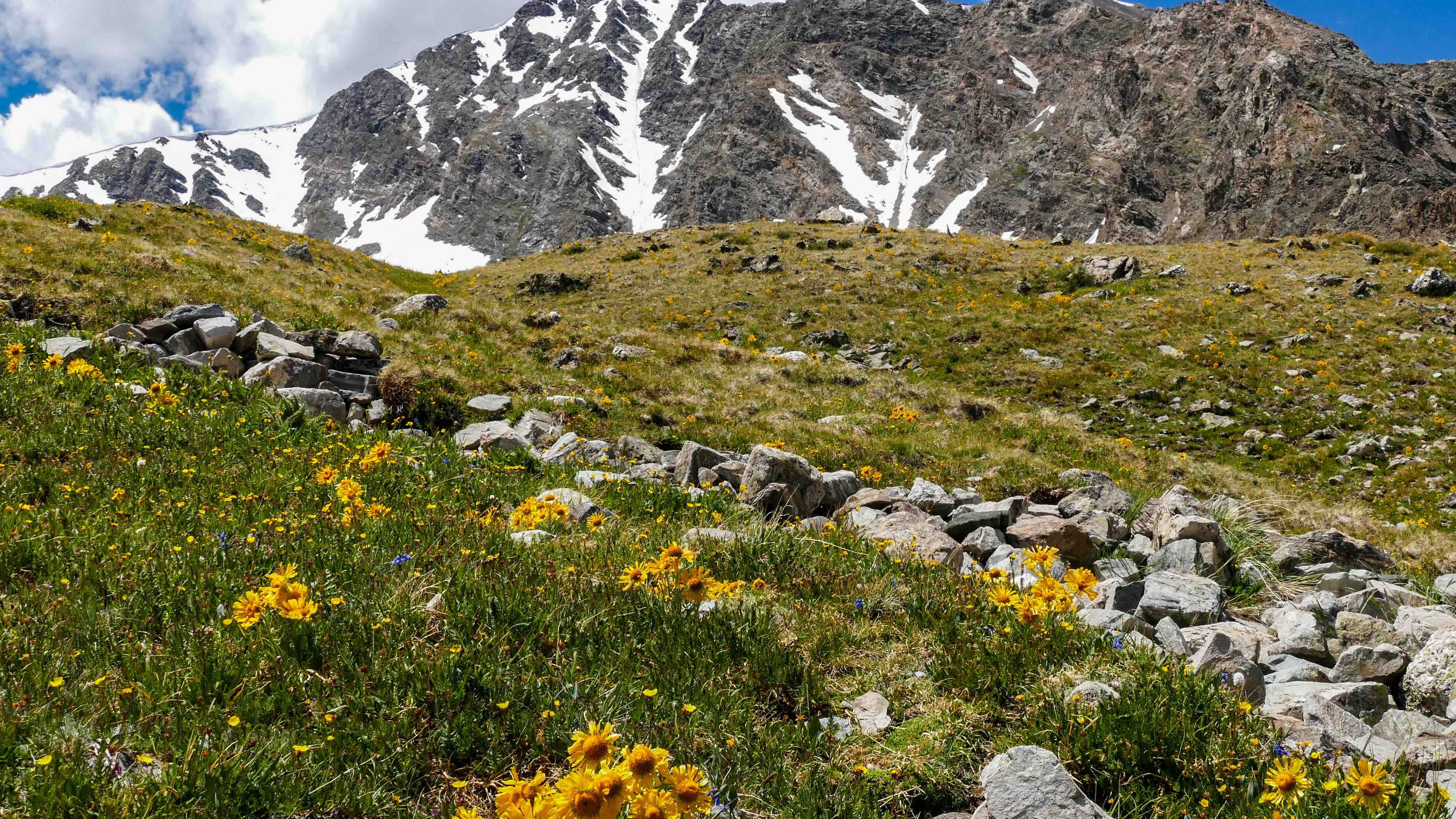 Climb a14'er -- Guided 14,000 Feet Peak Ascents - slide 7