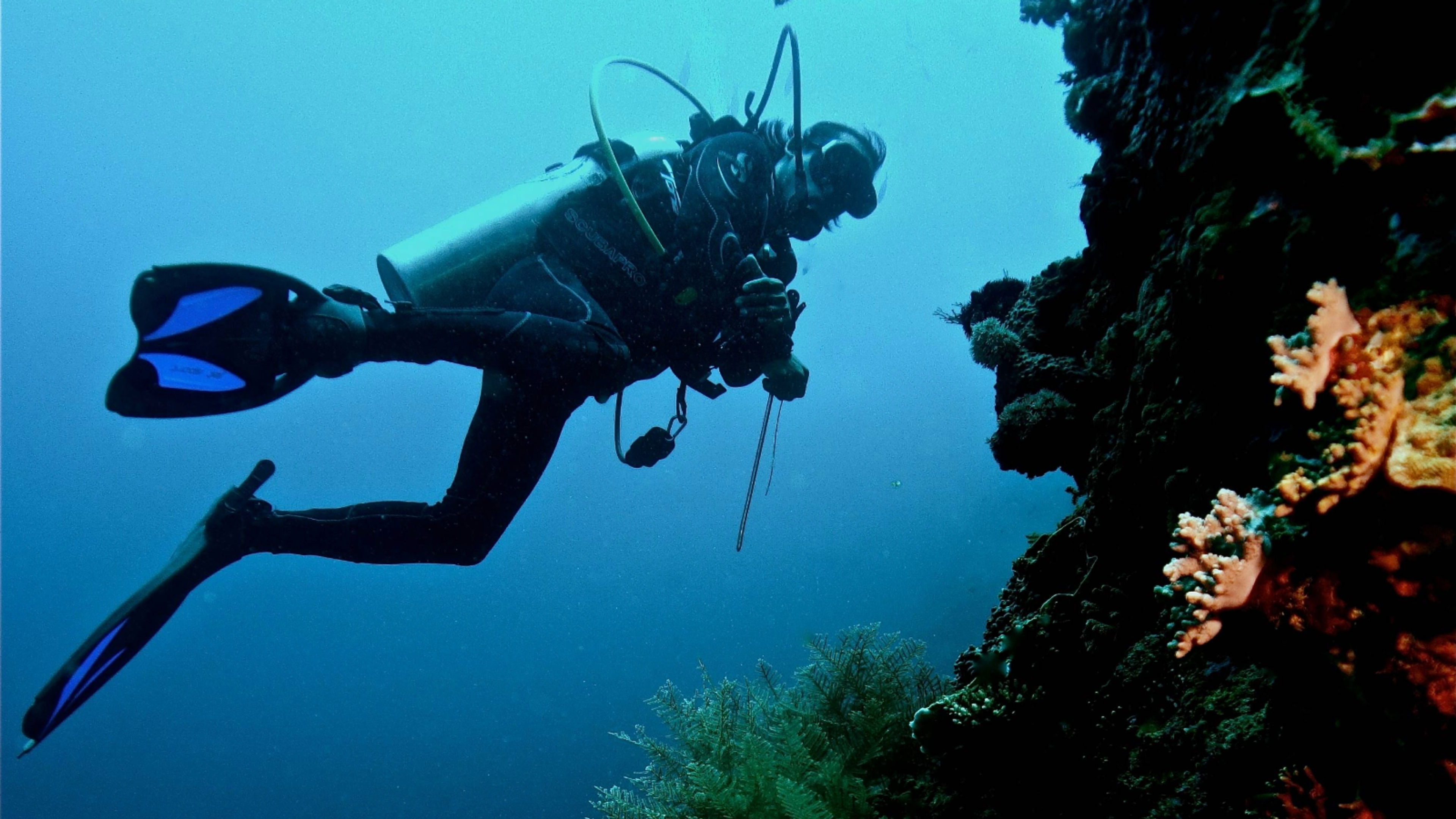 Snorkeling - deslizar 9