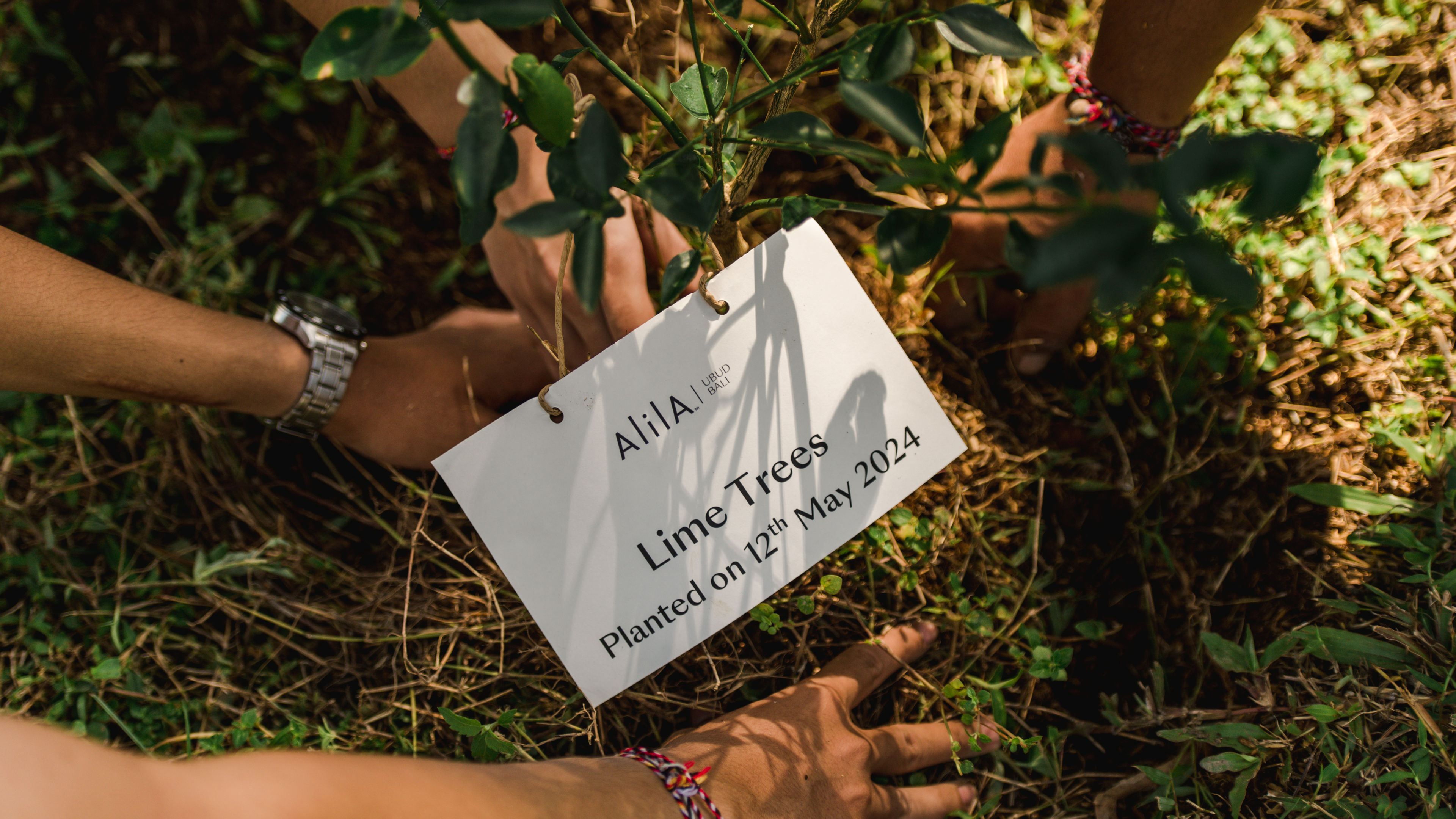 Hands on Planting - slide 4