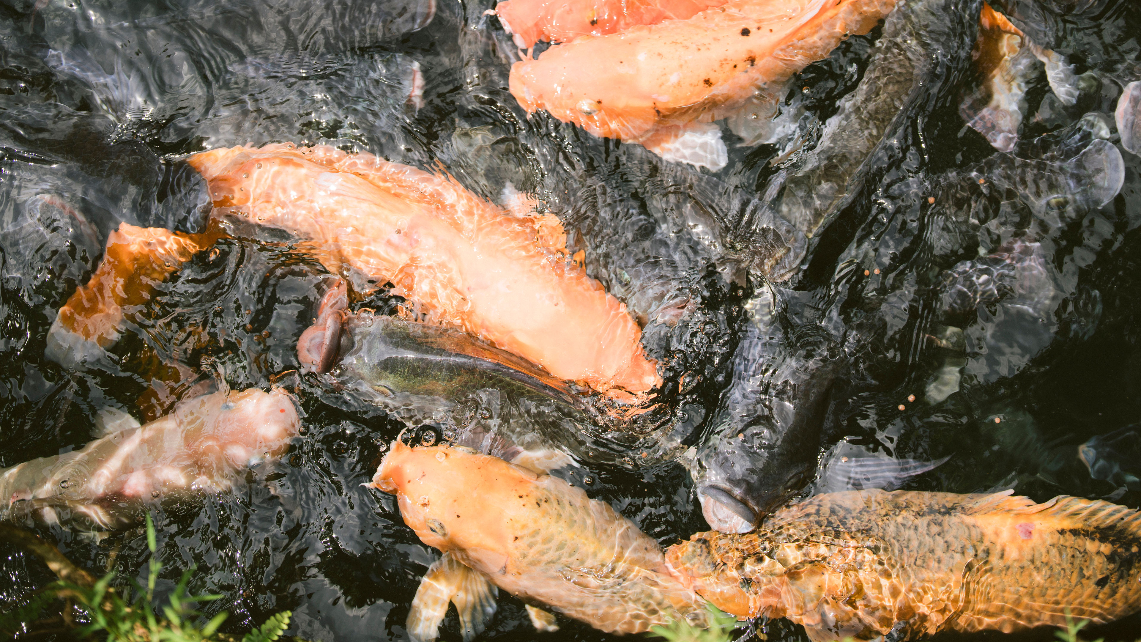 Gunung Kawi Temple - slide 3