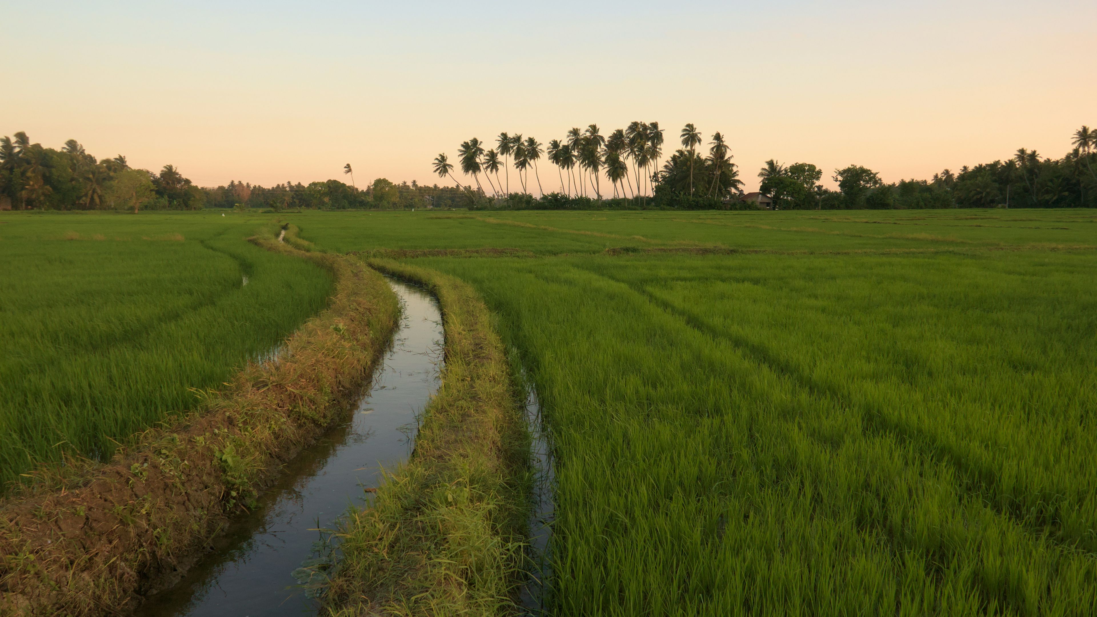 Life with Nature Walk for Children - slide 1