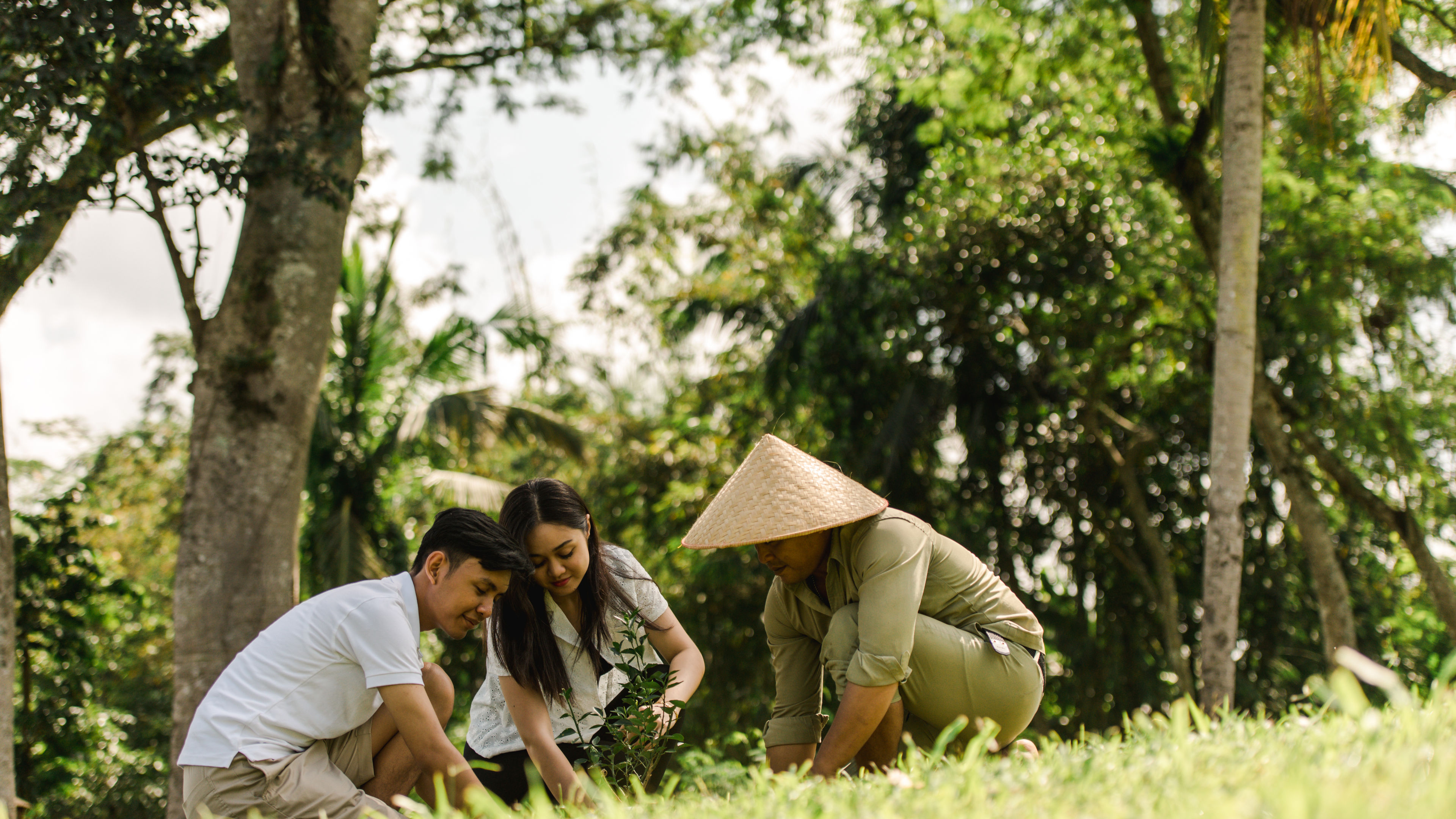 Hands on Planting - slide 5
