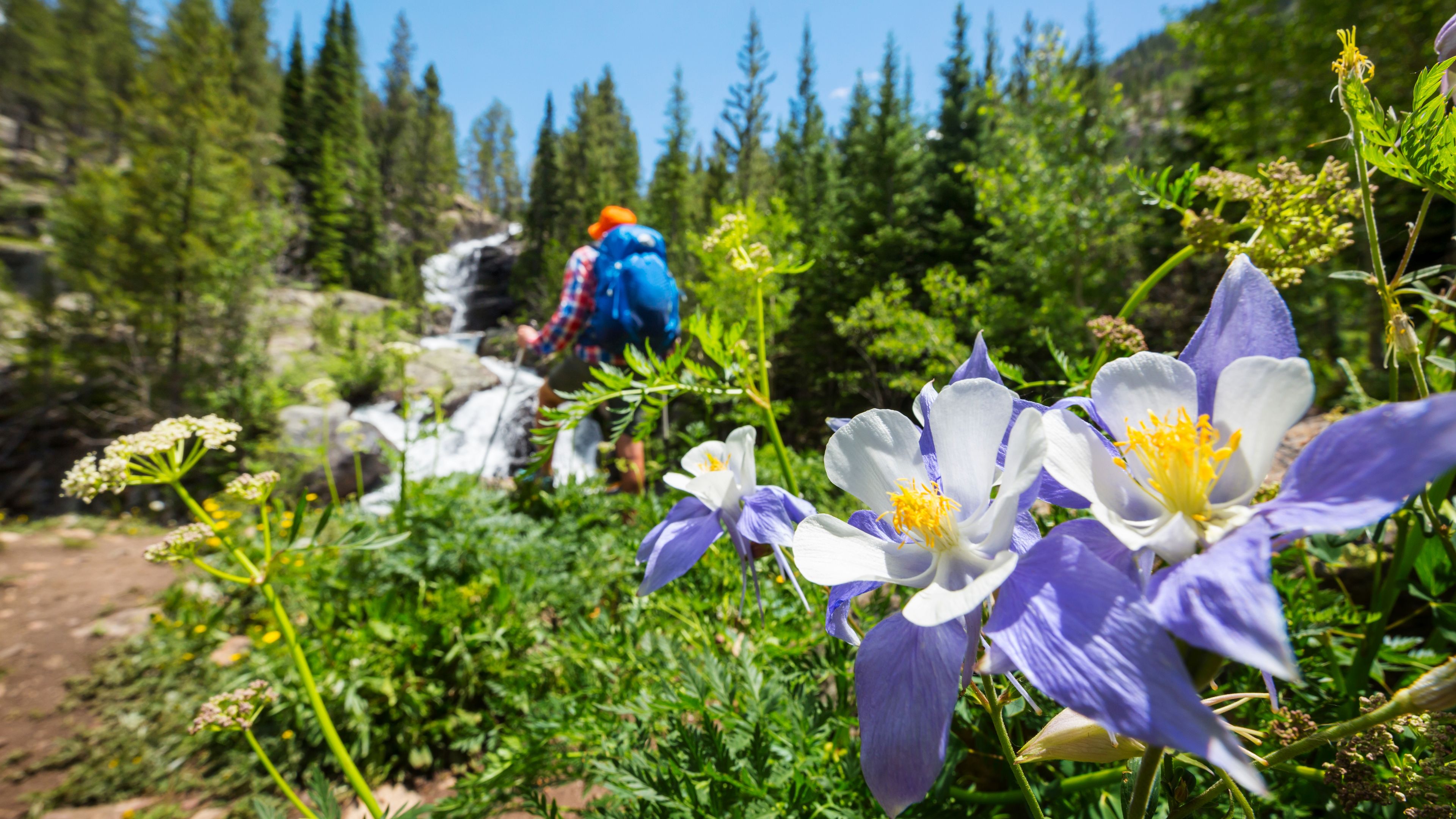 Guided Scenic Hike: Half Day - slide 6