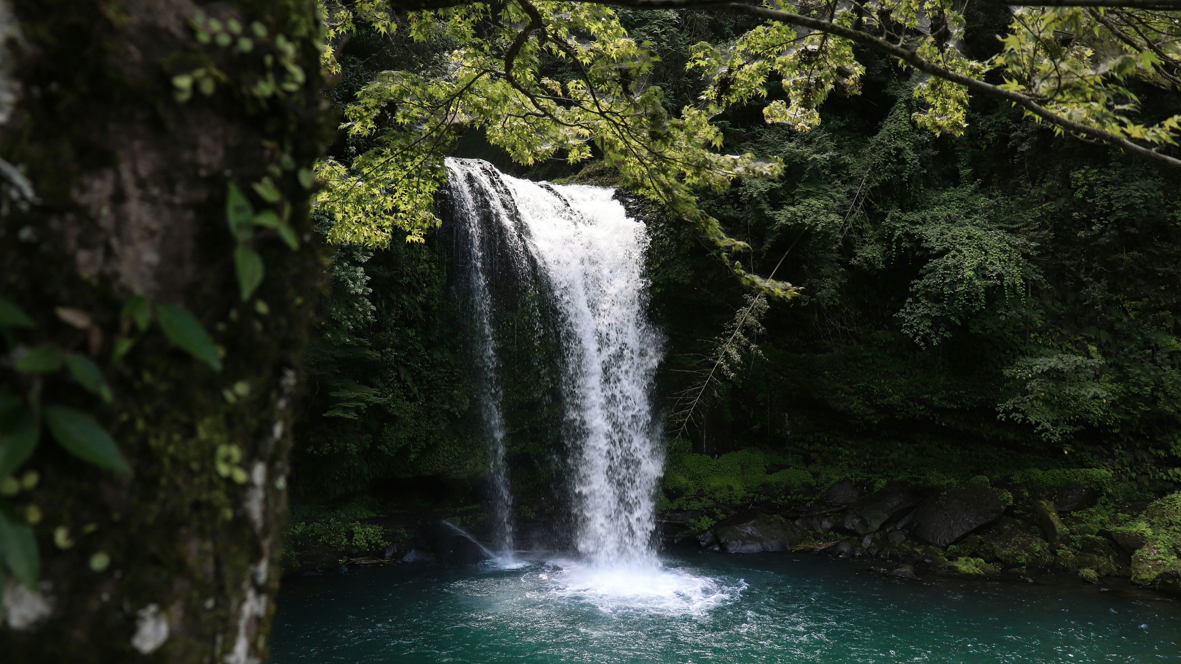 Jungle Trek to Waterfall - スライド 1