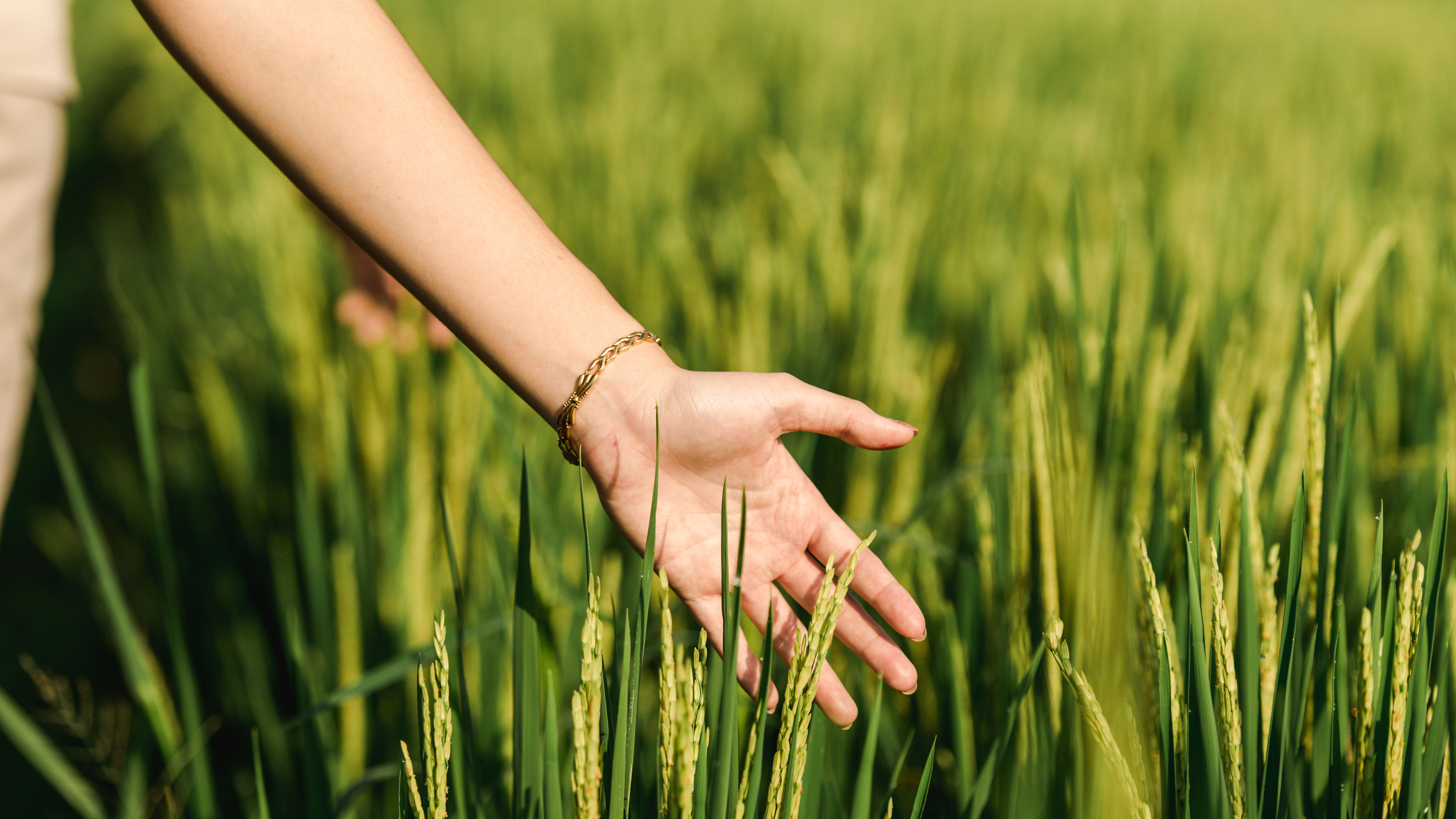 Hands on Planting - slide 2