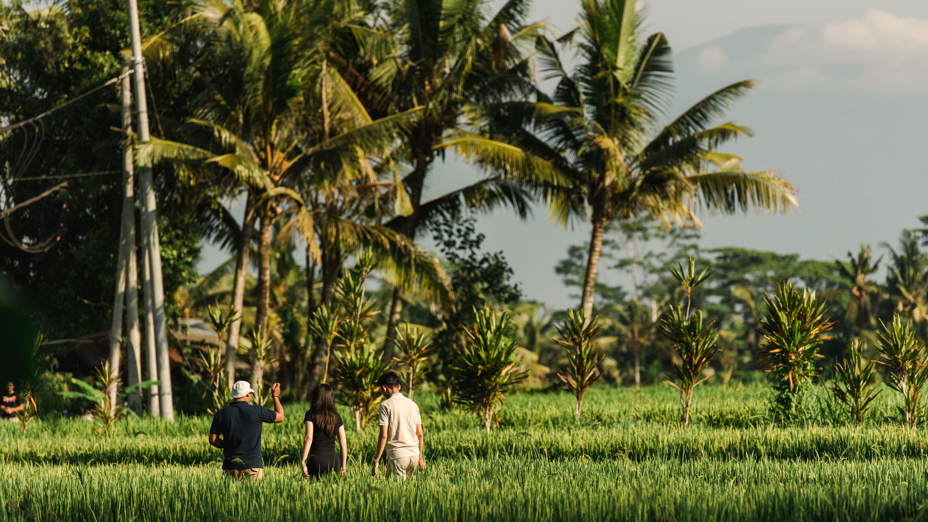 Hands on Planting - slide 1