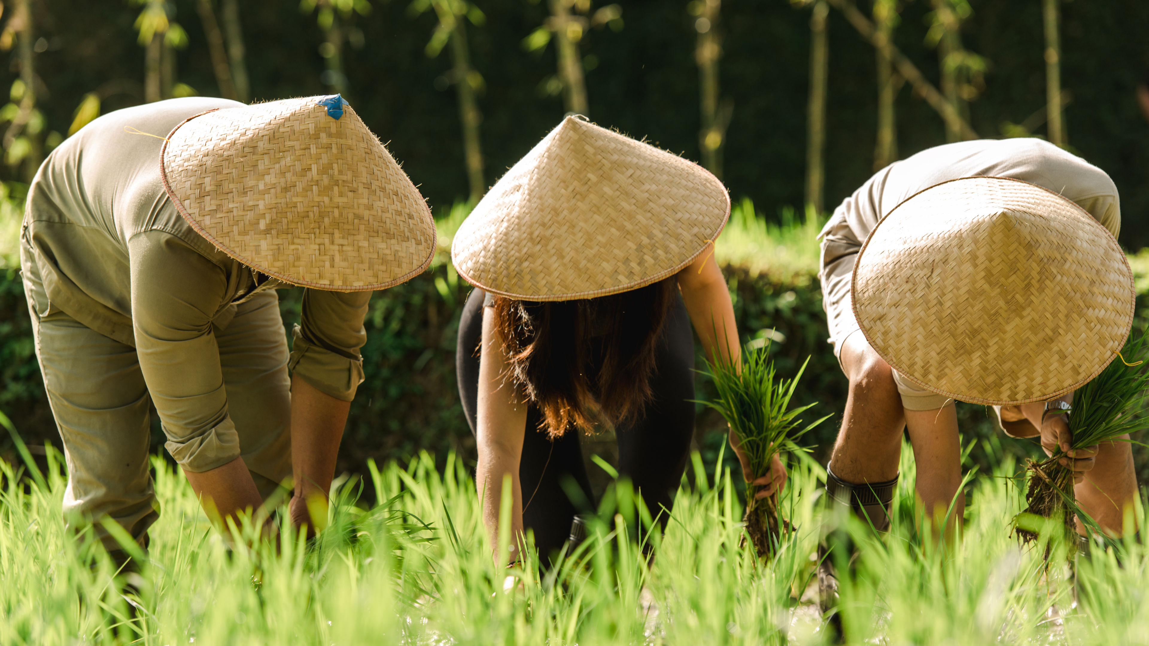 Hands on Planting - slide 9