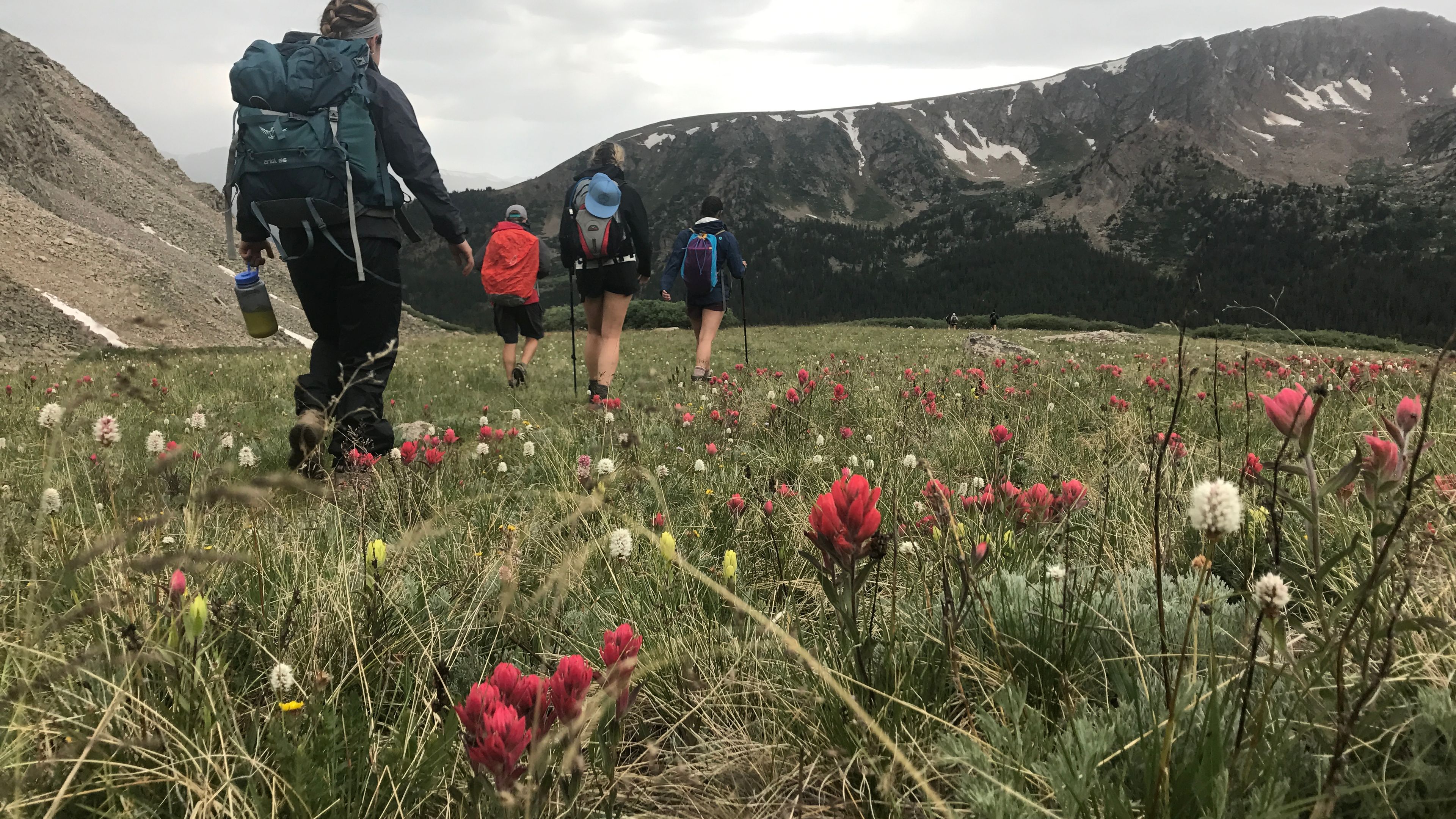 Climb a14'er -- Guided 14,000 Feet Peak Ascents - slide 11