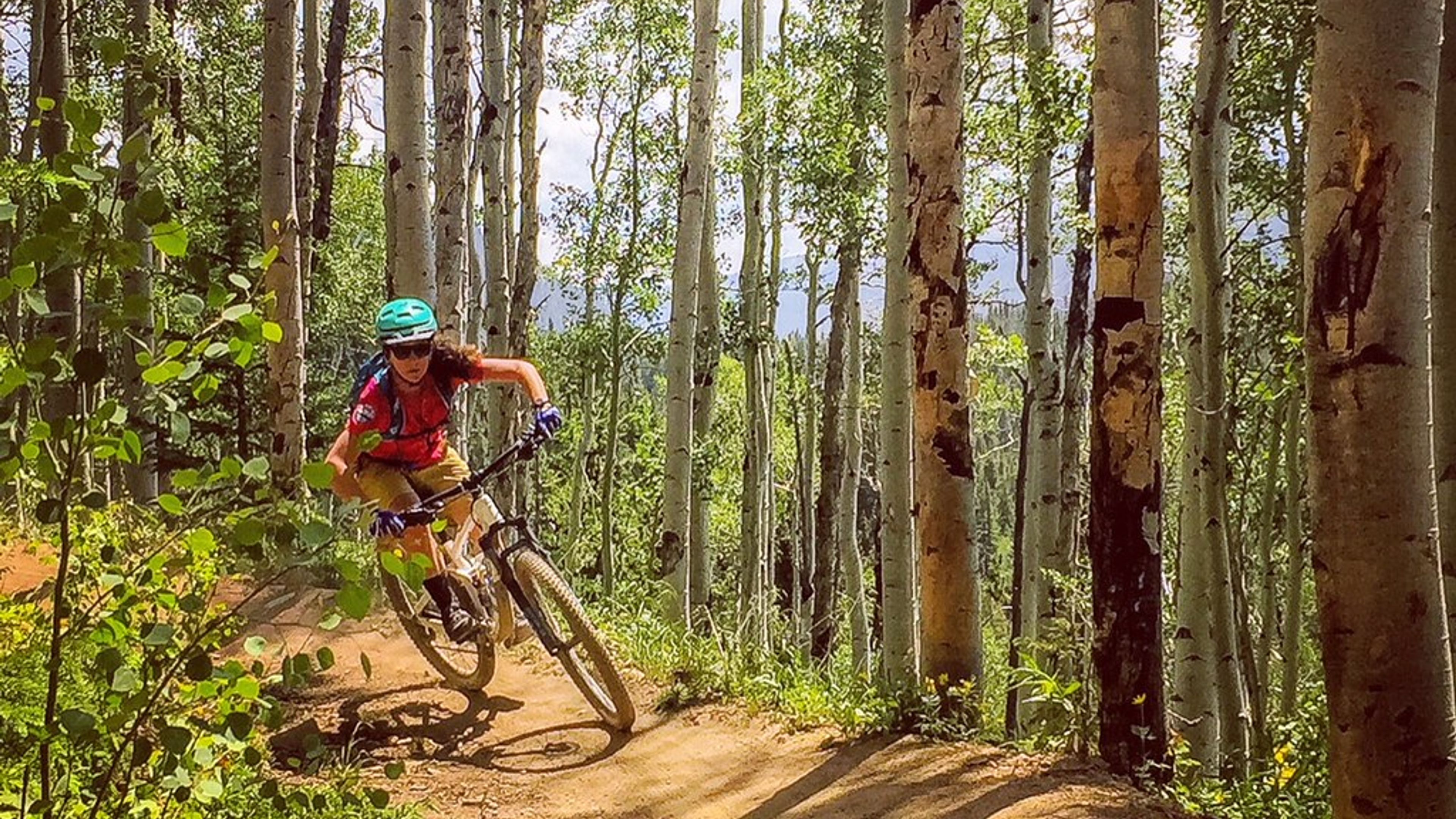 Guided Mountain Bike Ride: Half-Day - slide 1