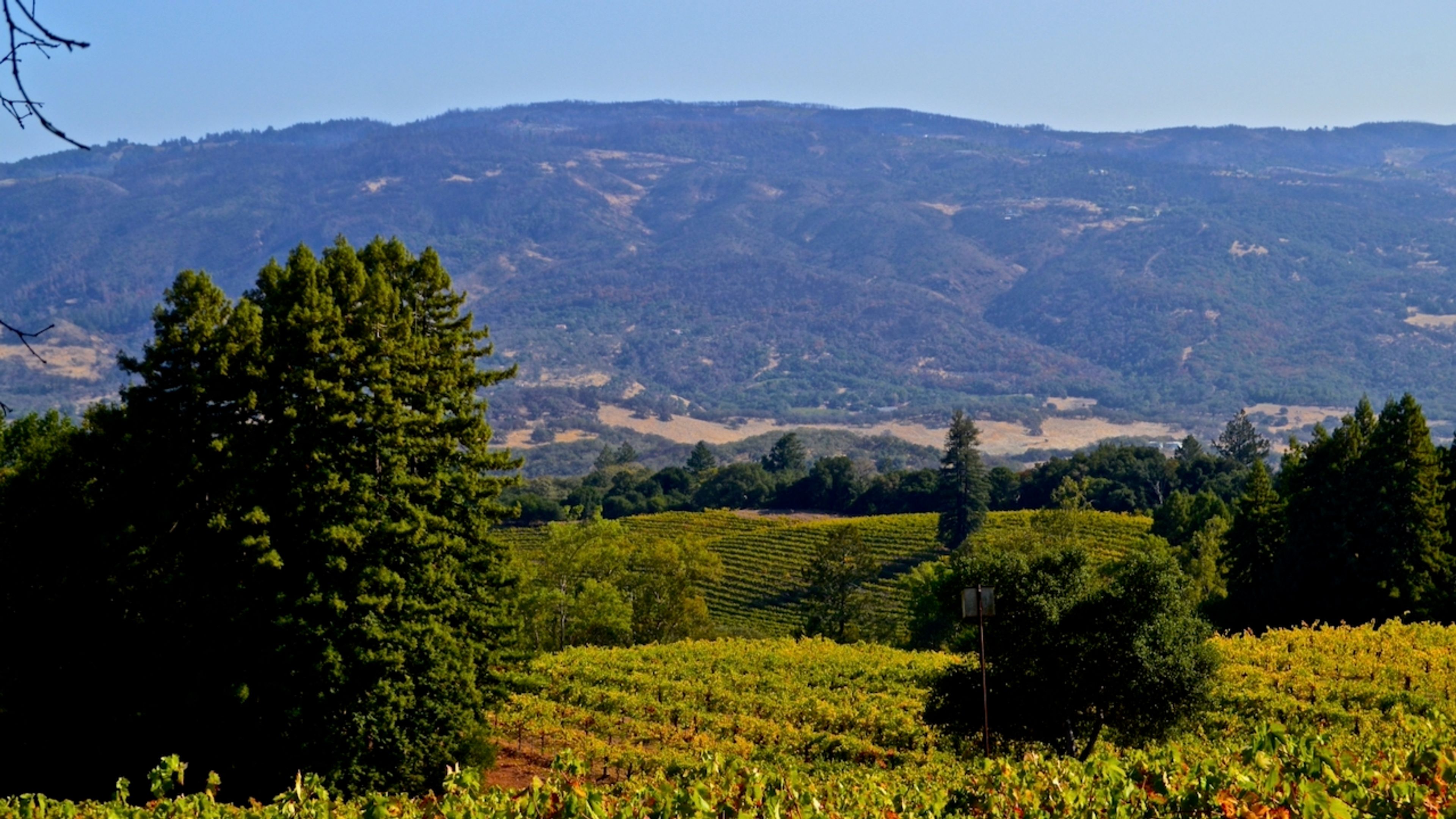 Private Napa | Sonoma Hiking Adventure Tours - Folie 4