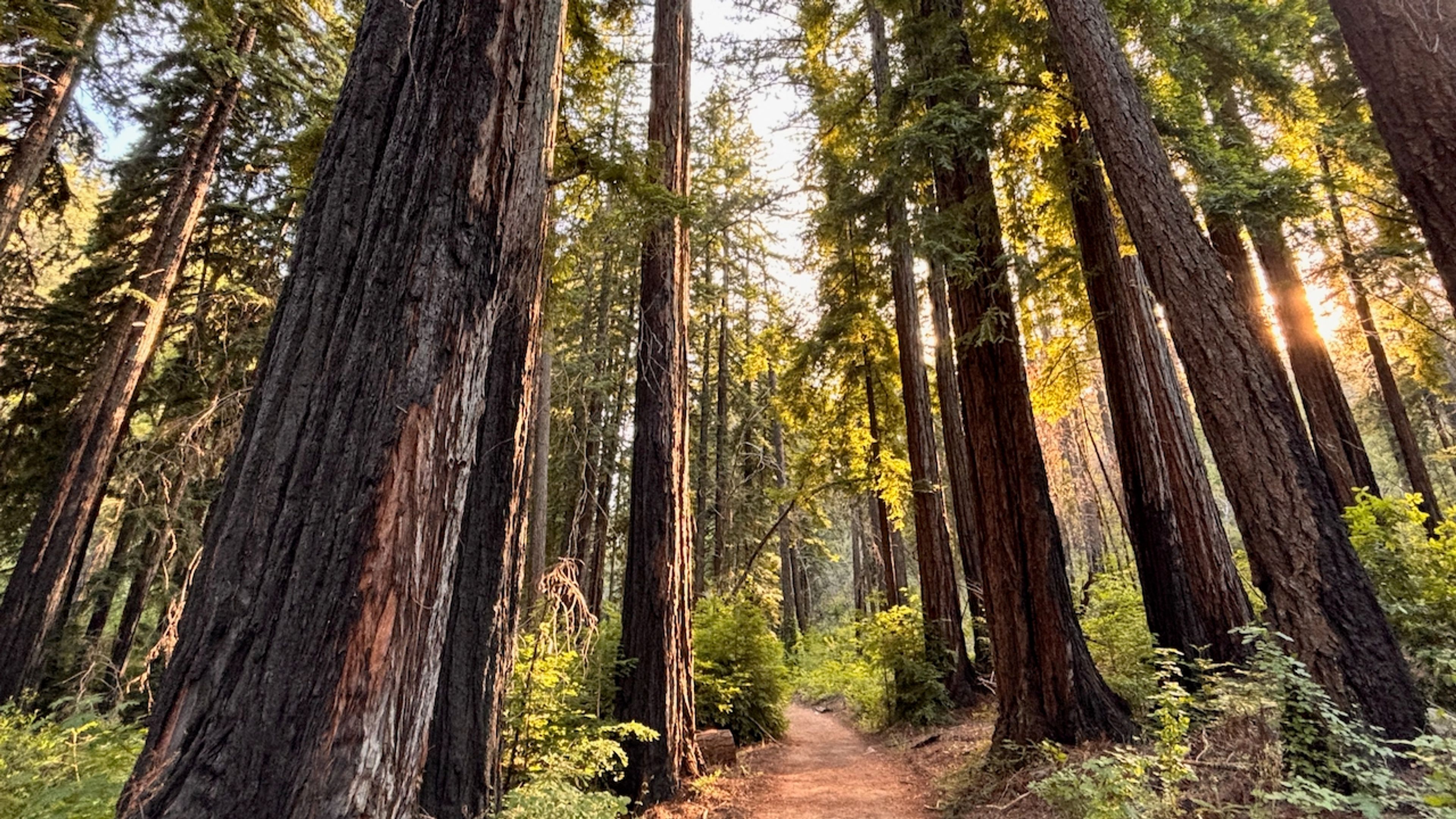 Private Napa | Sonoma Hiking Adventure Tours - Folie 6