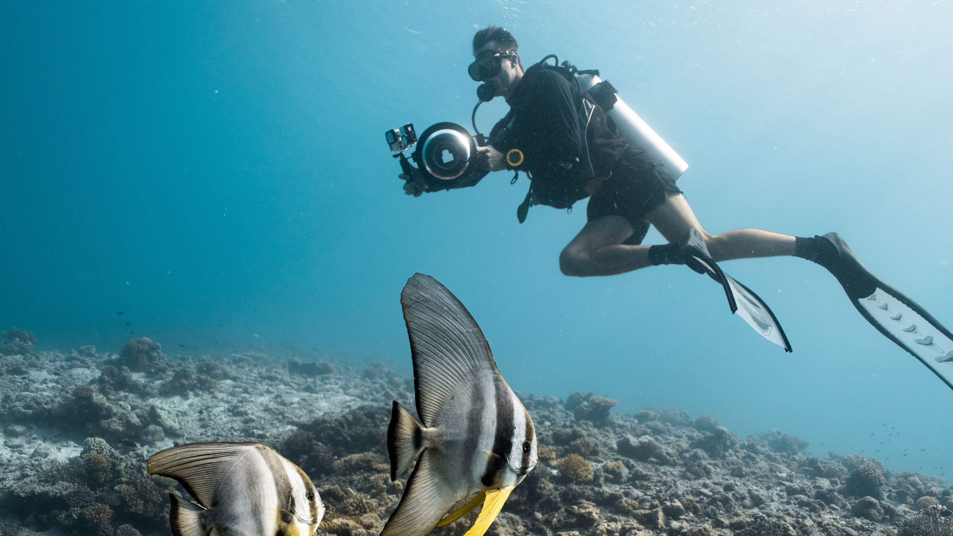 Underwater Photography - diapositive 1