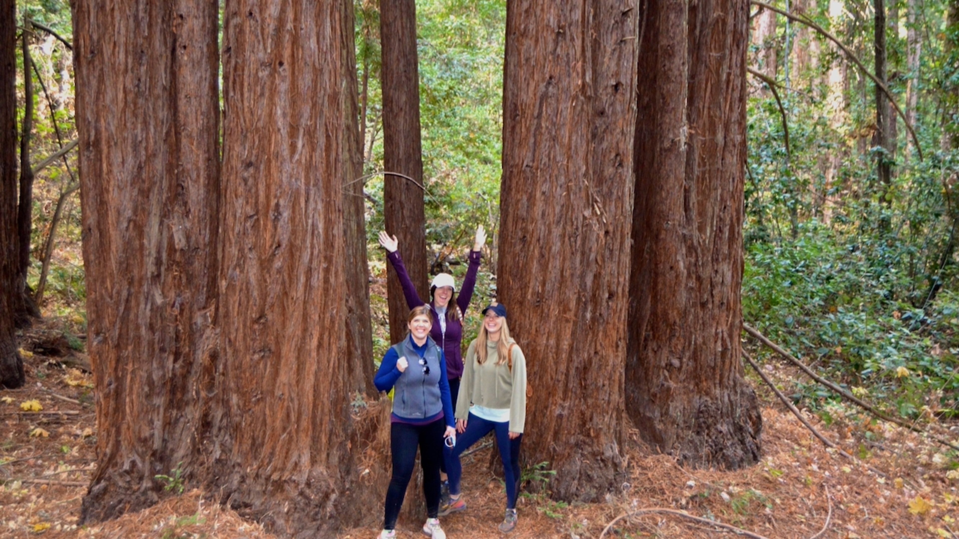 Private Napa | Sonoma Hiking Adventure Tours - Folie 2