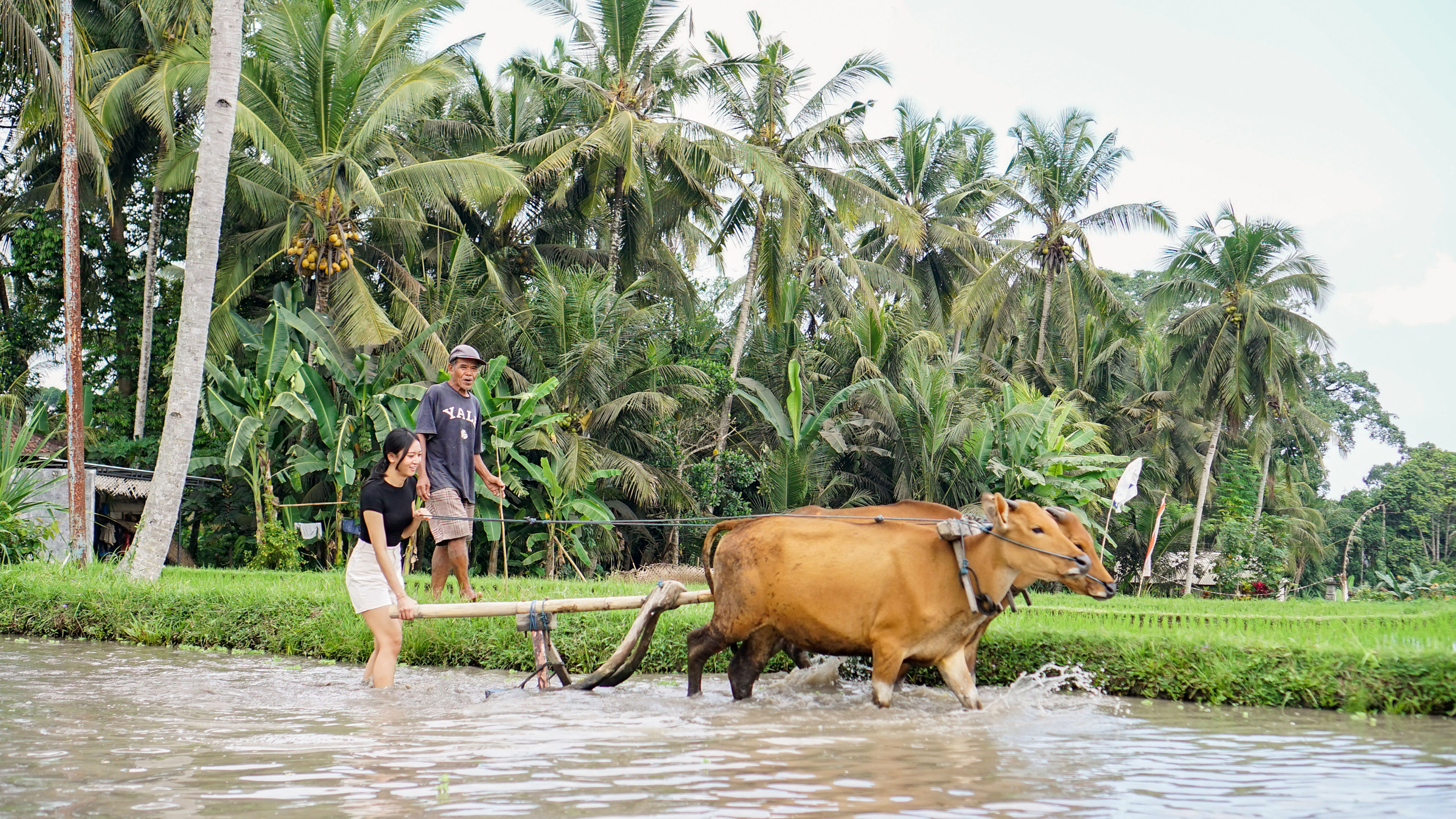 A Day as a Balinese - deslizar 4