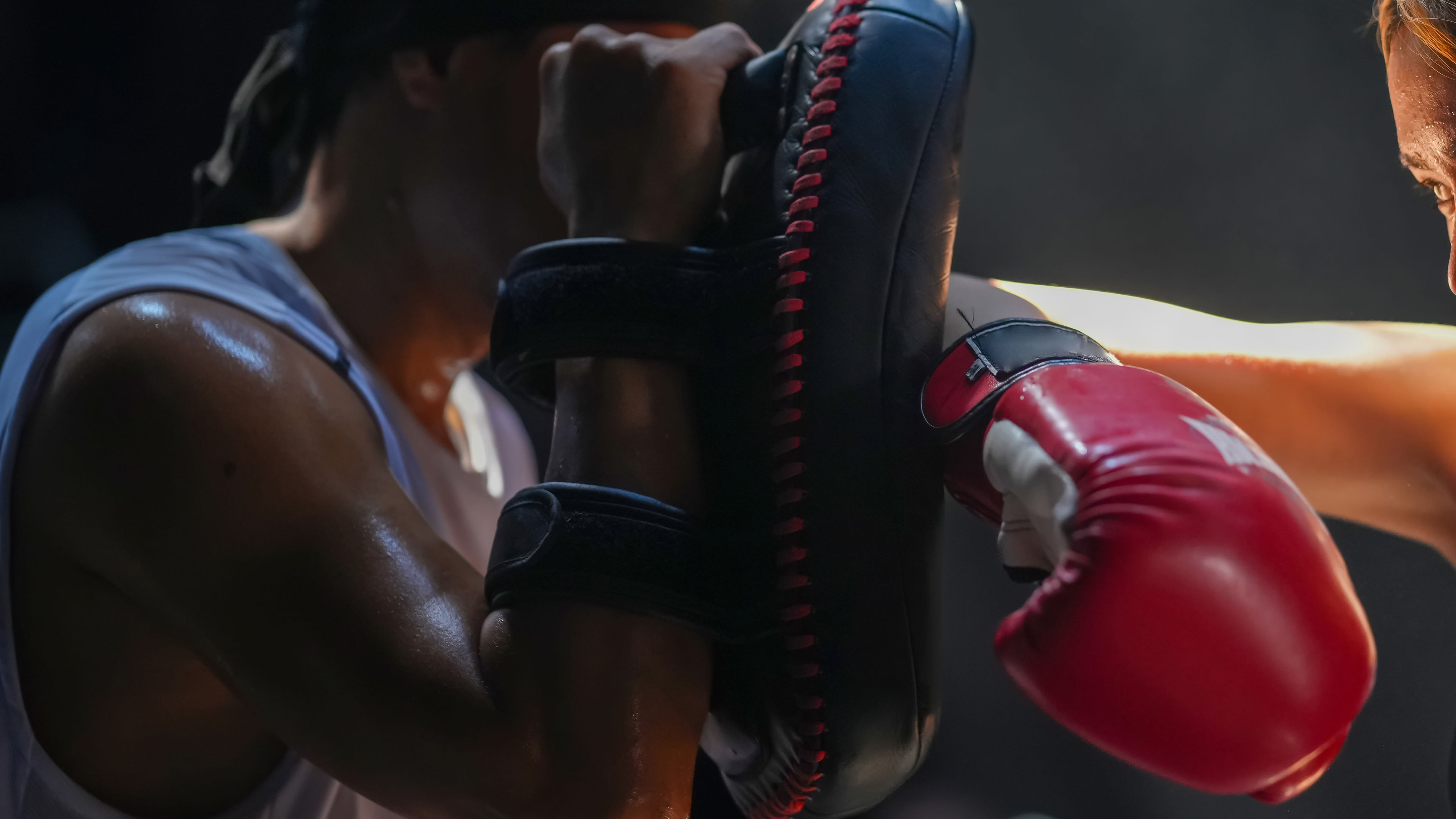 Muay Thai Mastery: Private Training Session - 滑動 3