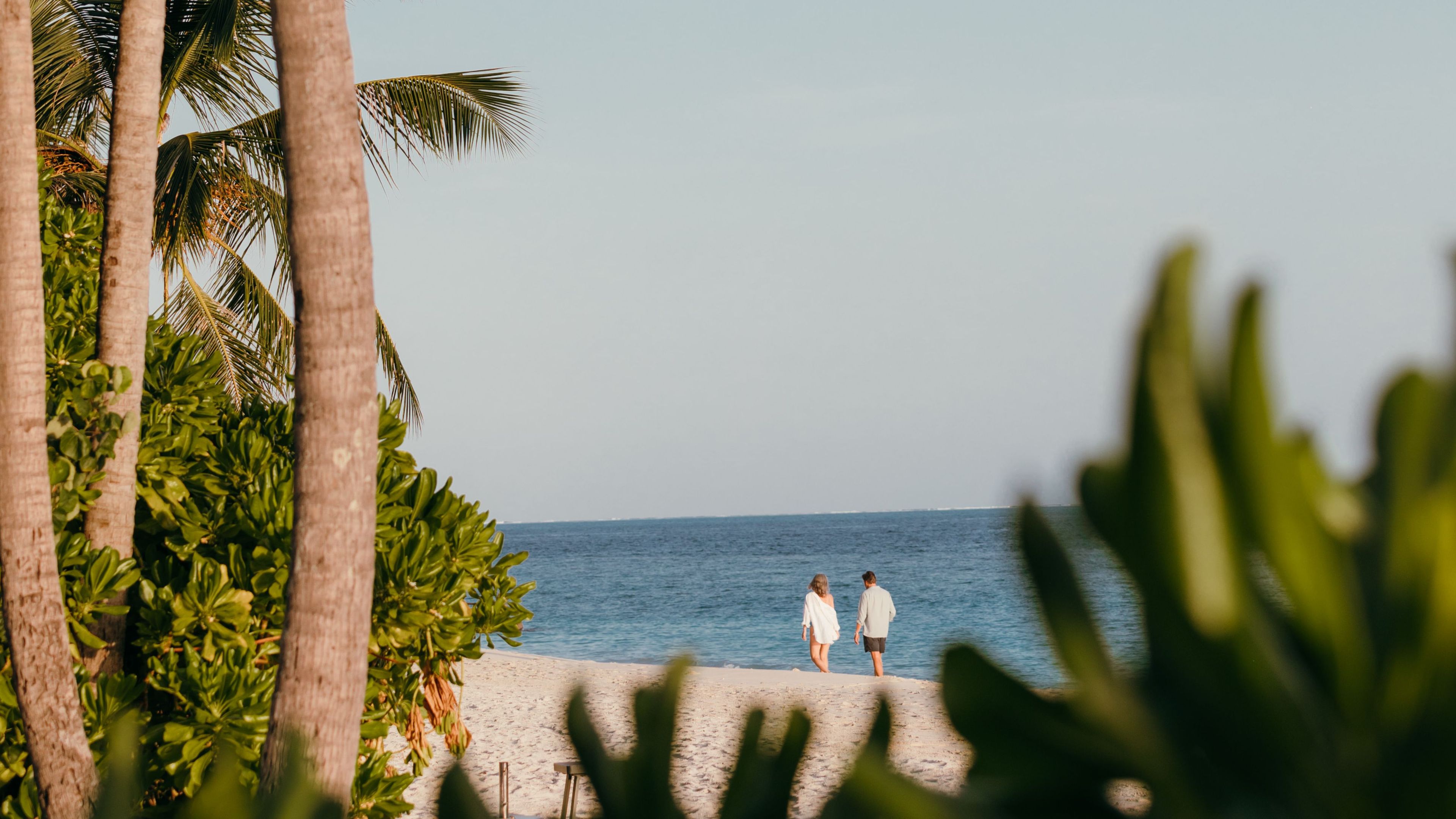 Nature’s First Language – A Walk with Safeeru - 滑動 1