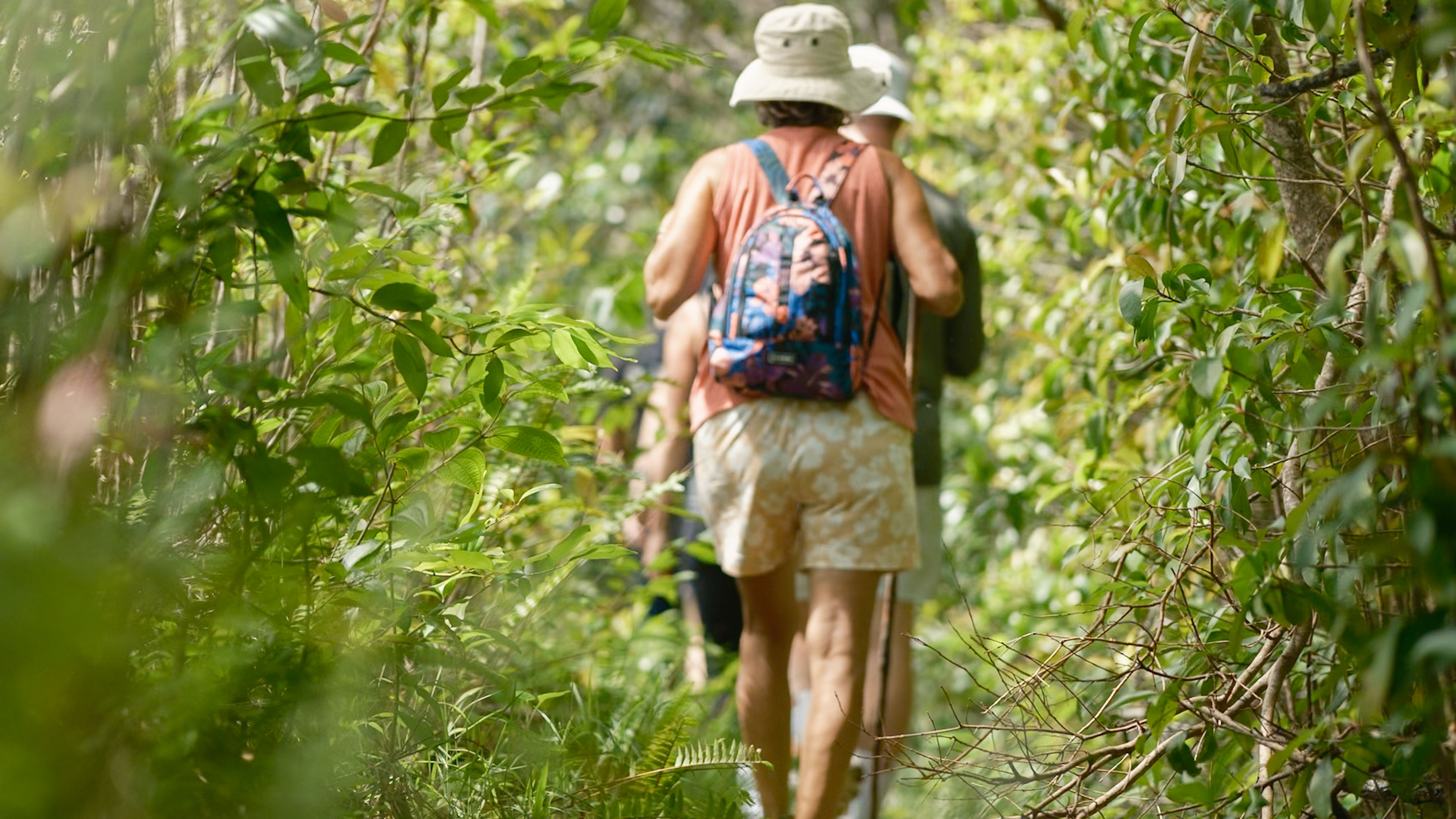 Honolua Ridge Hike - スライド 7