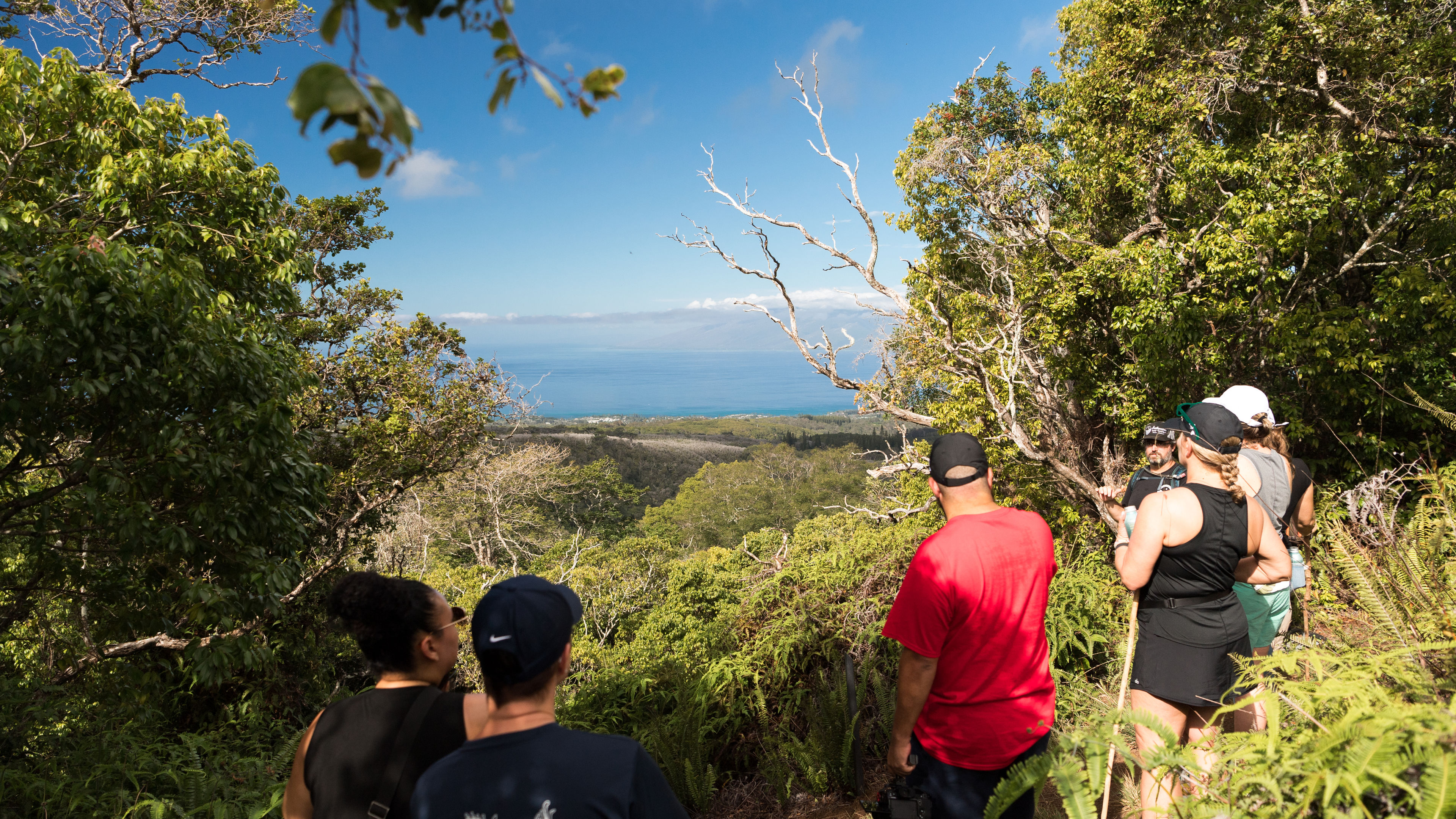 Honolua Ridge Hike - スライド 9
