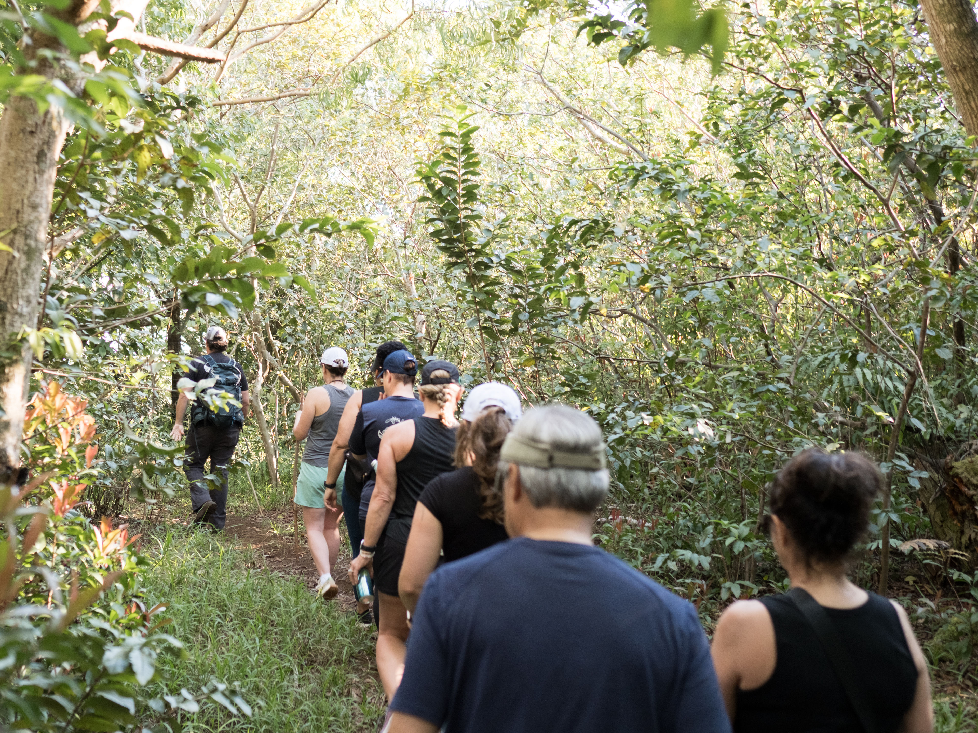 Honolua Ridge Hike