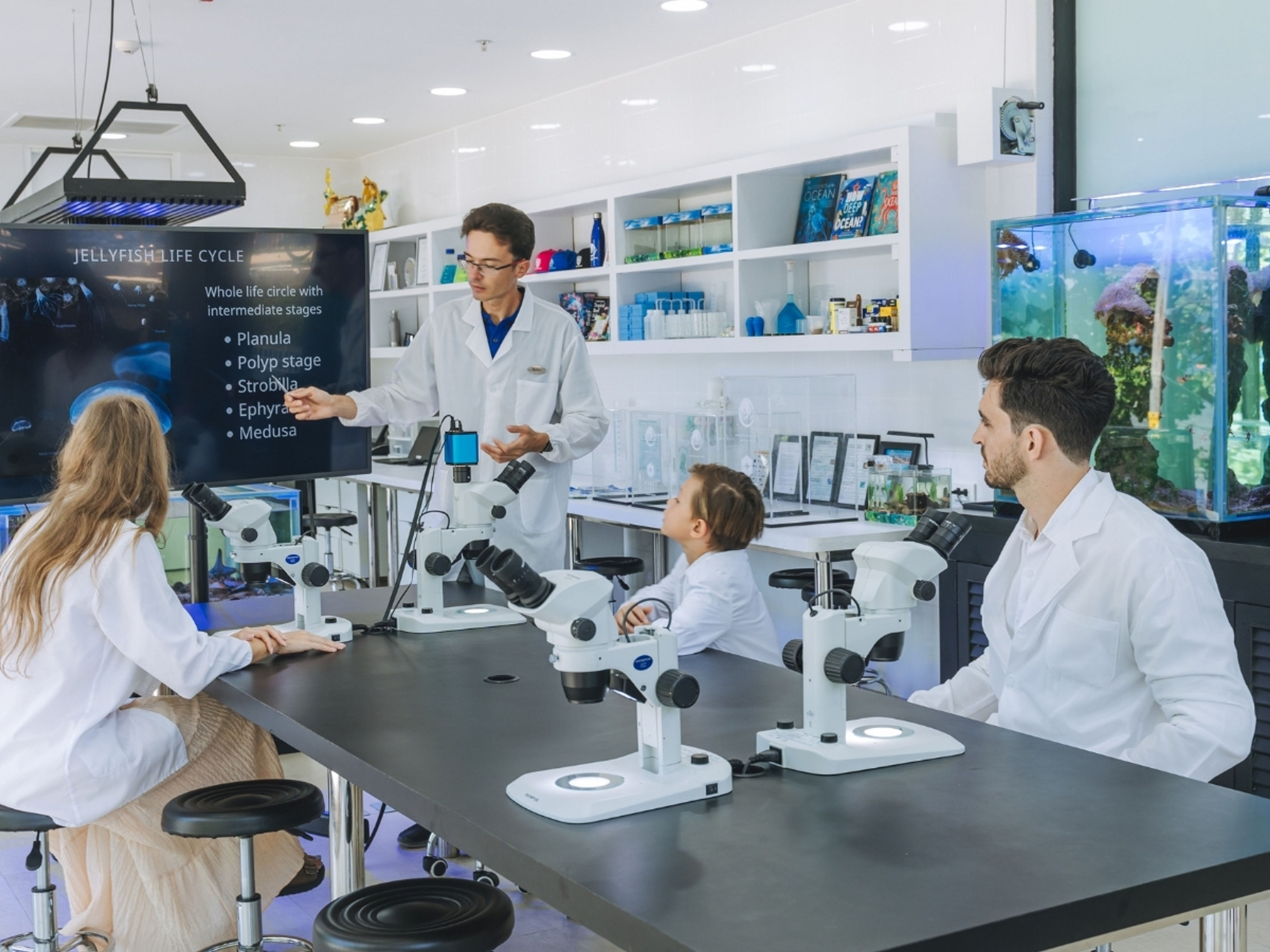 Mysterious Transformation of the Jellyfish
