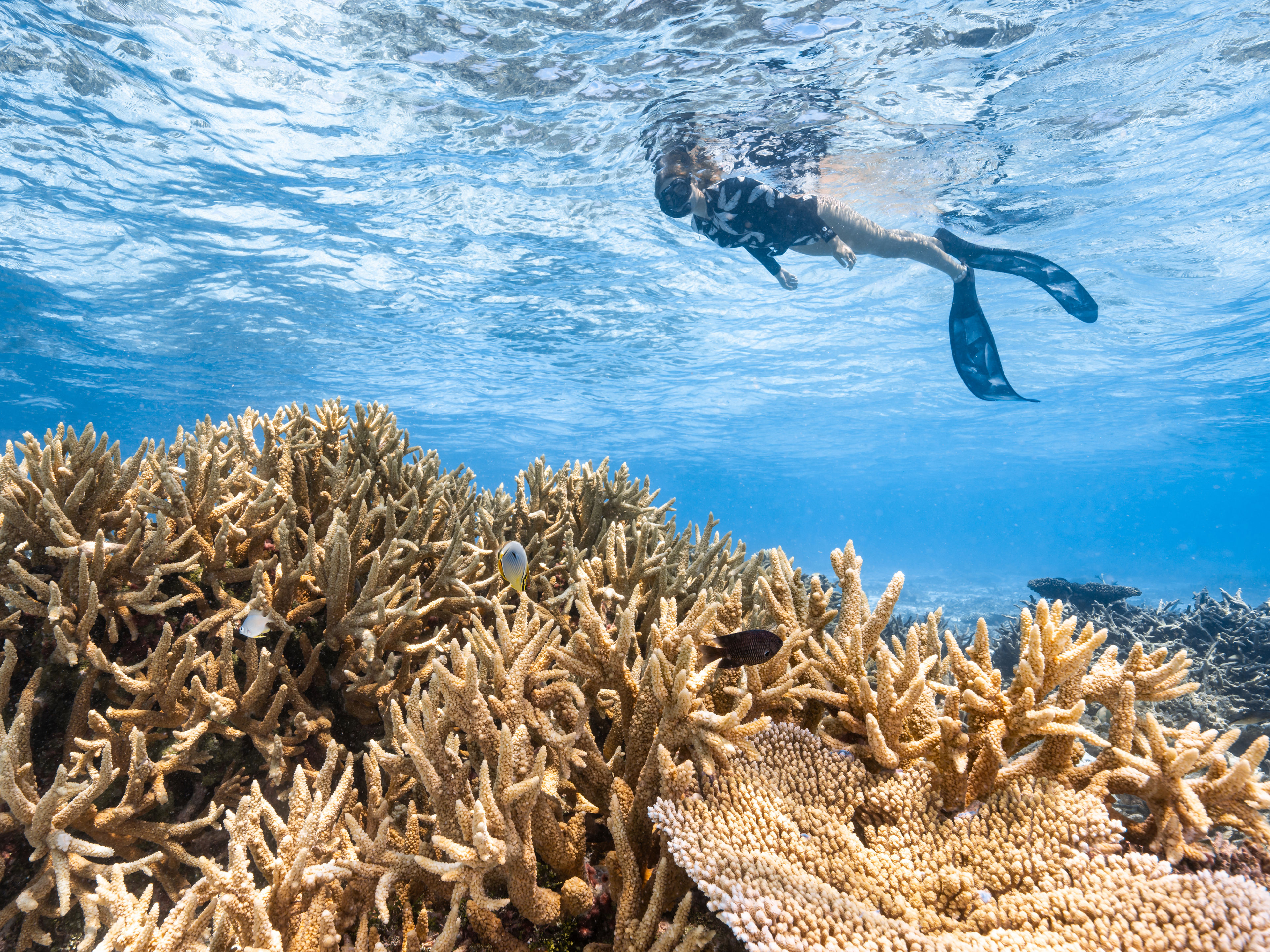 有意义的浮潜体验