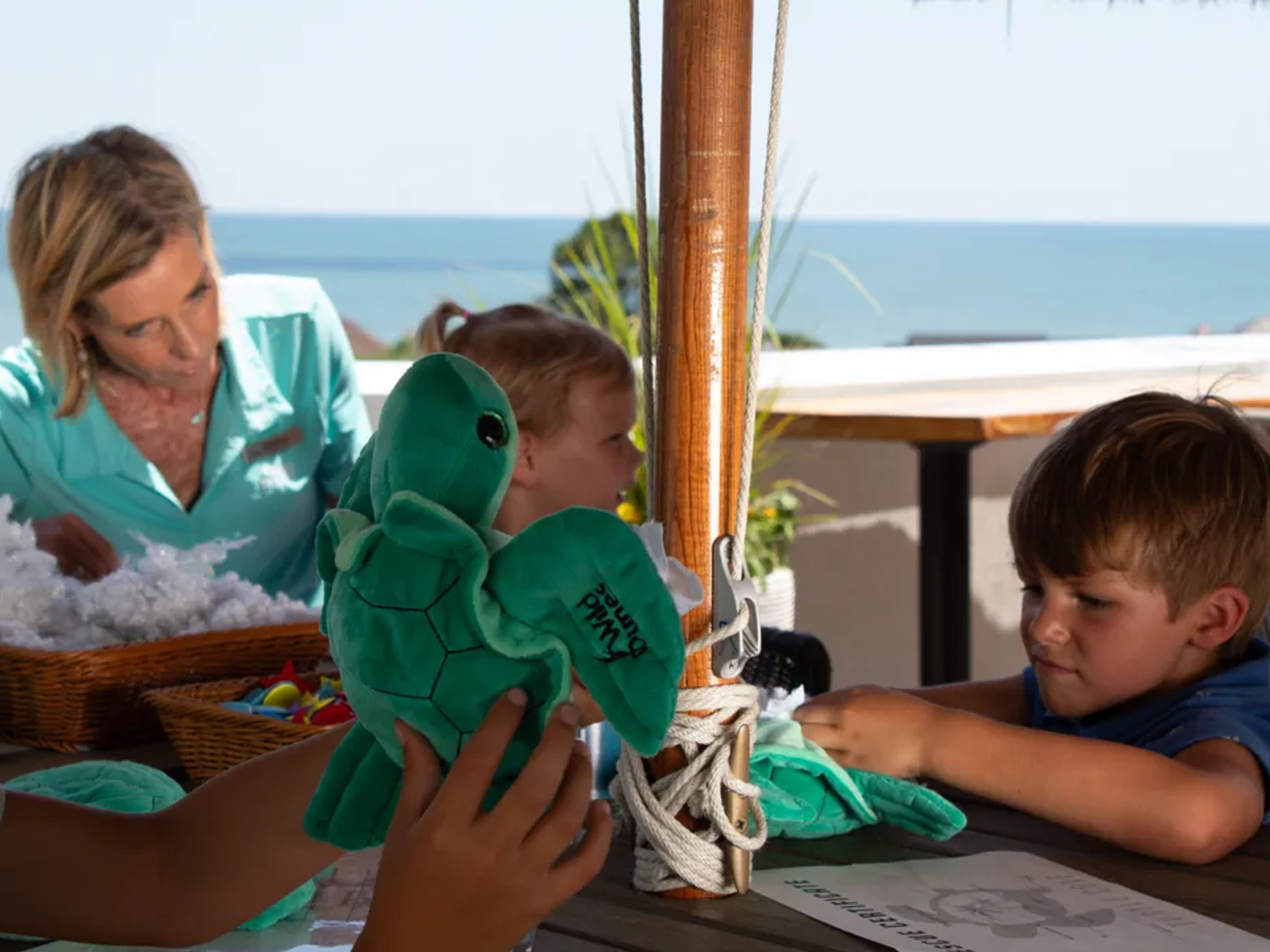 Build a Buddy Turtle Building Workshop