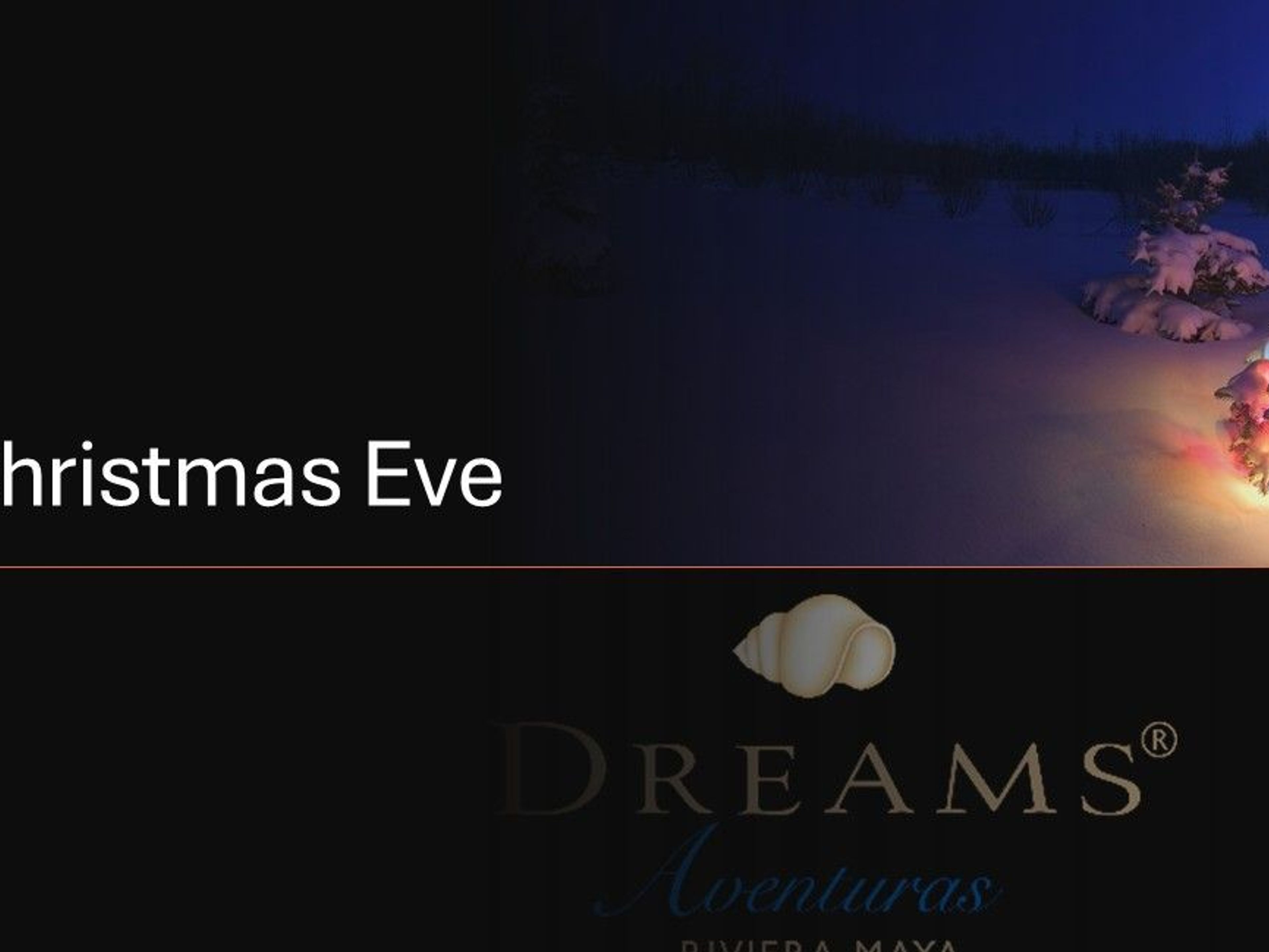 CHRISTMAS EVE DINNER & SHOW