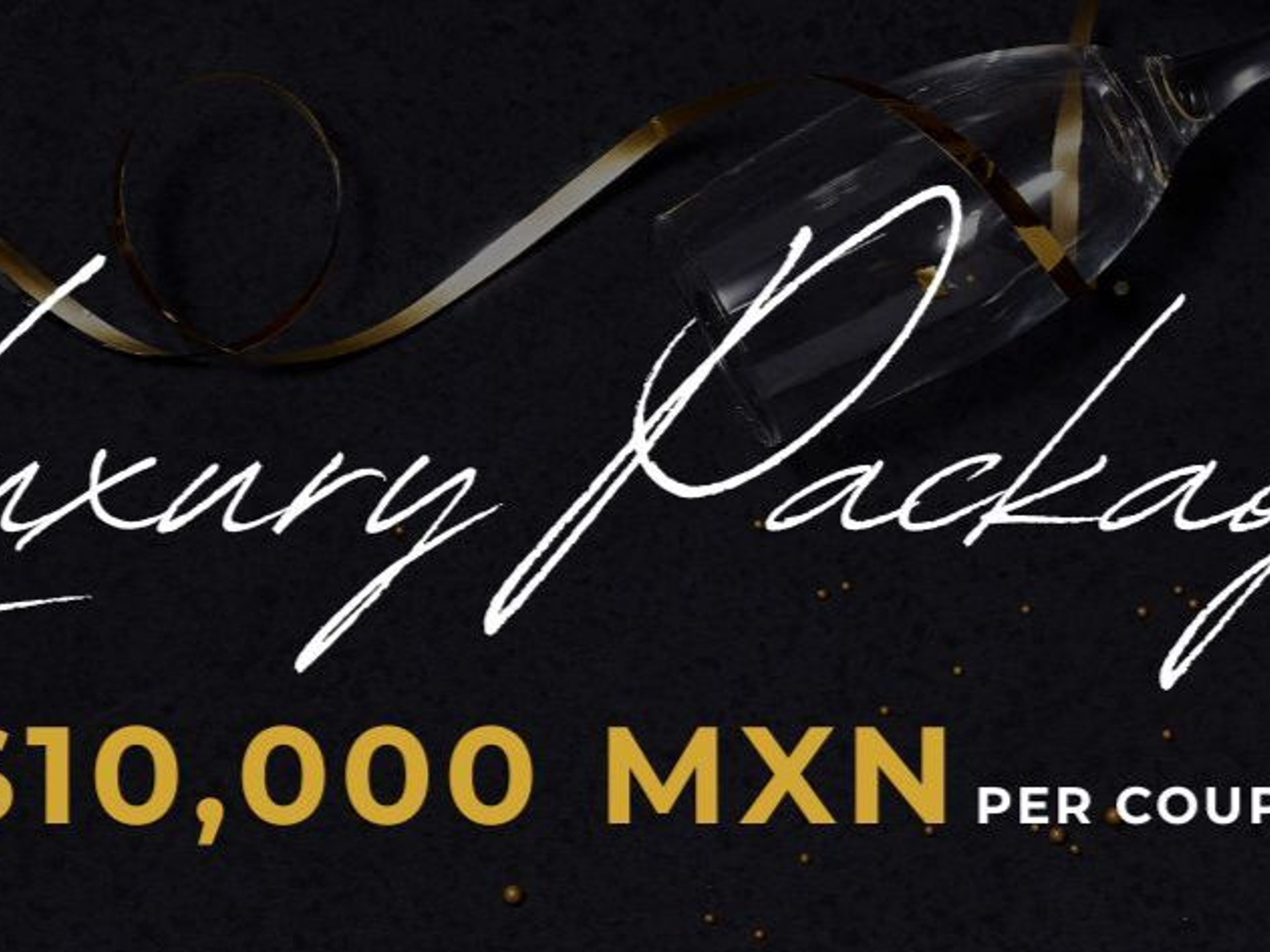 NEW YEAR'S EVE PRIVATE DINNER LUXURY SPECIAL PACKAGE