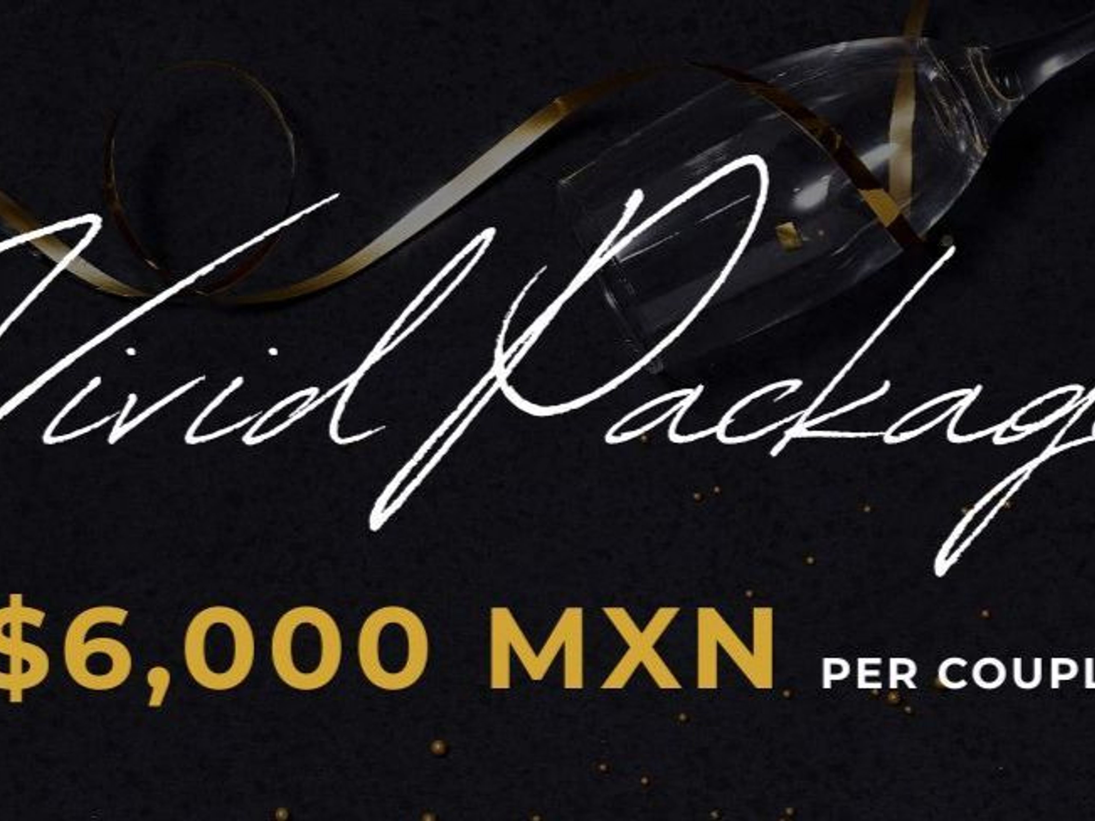 NEW YEAR'S EVE PRIVATE DINNER VIVID SPECIAL PACKAGE