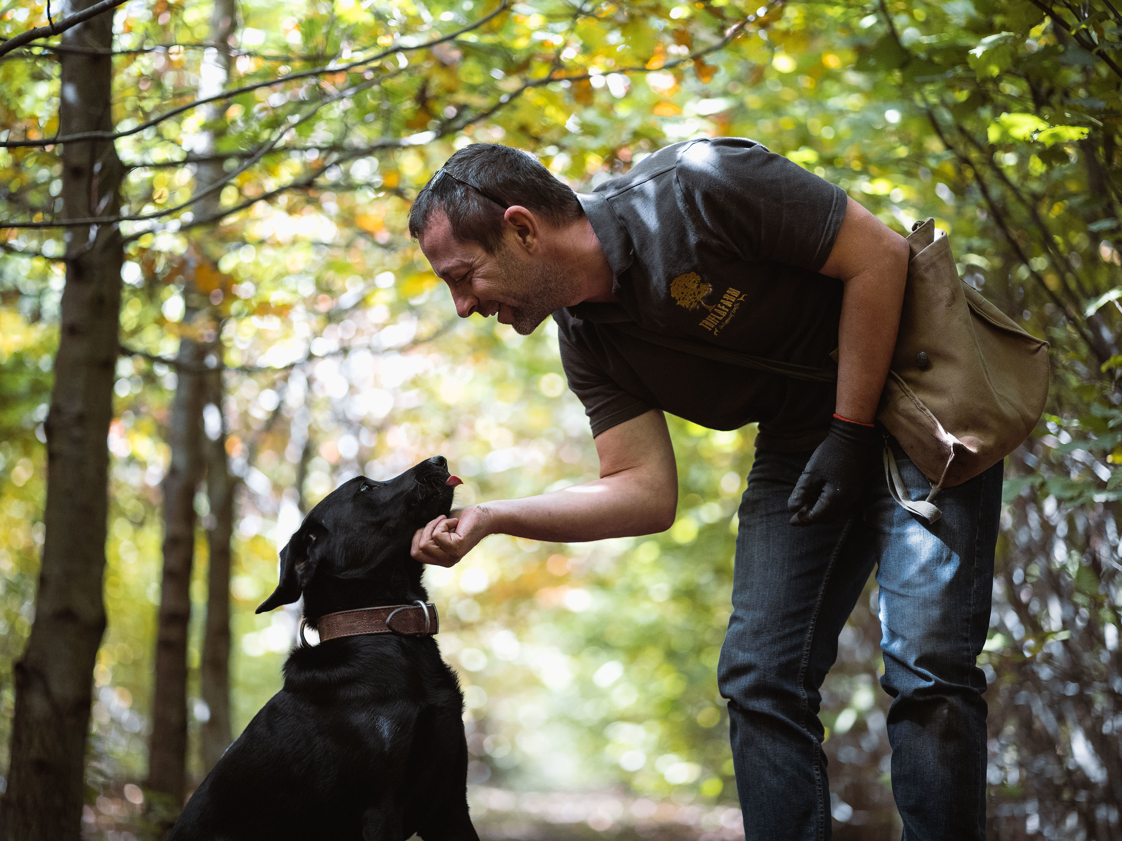 Hungarian Truffle Hunt