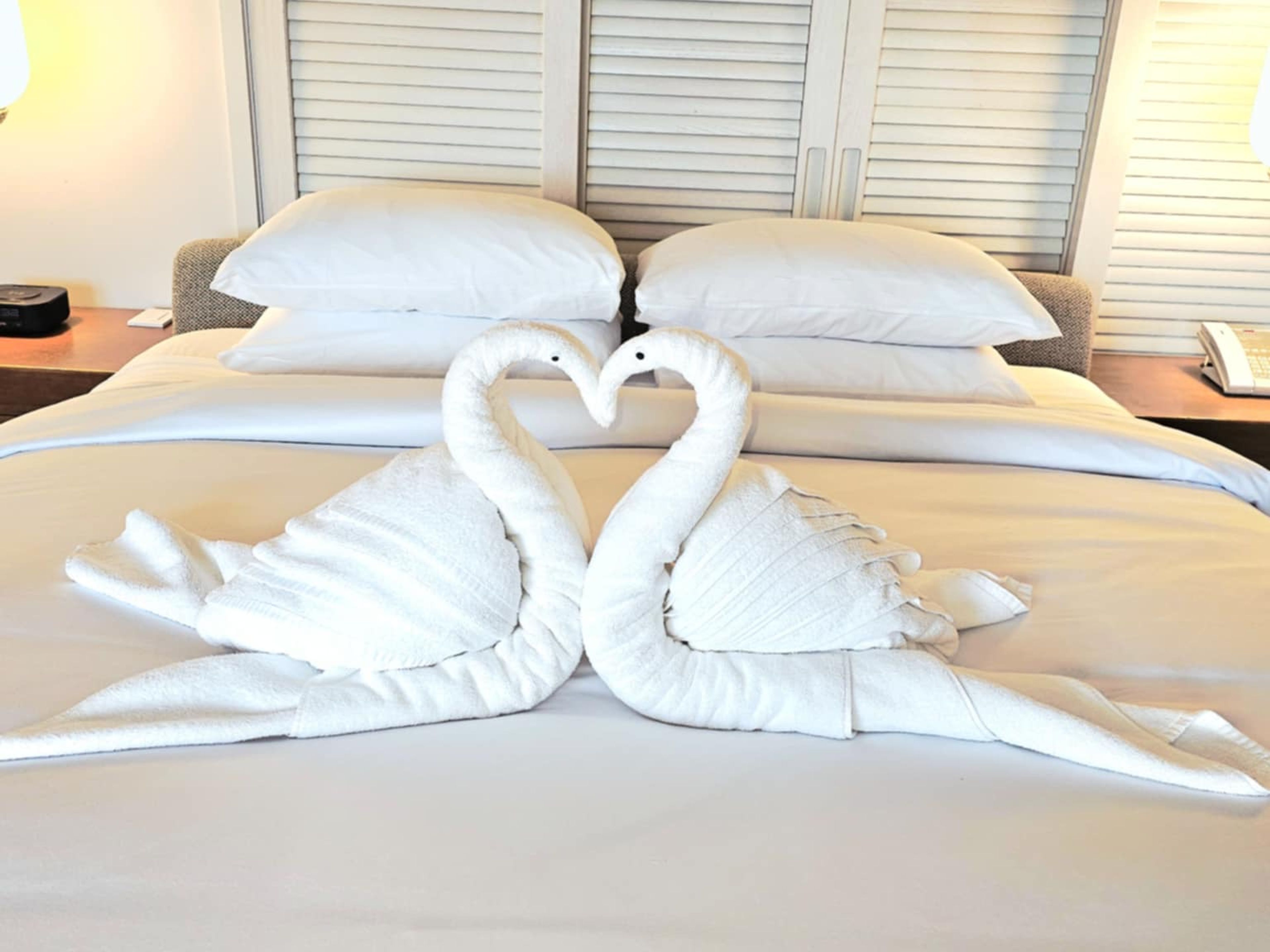 Welcome with Aloha: Towel & Flower Art