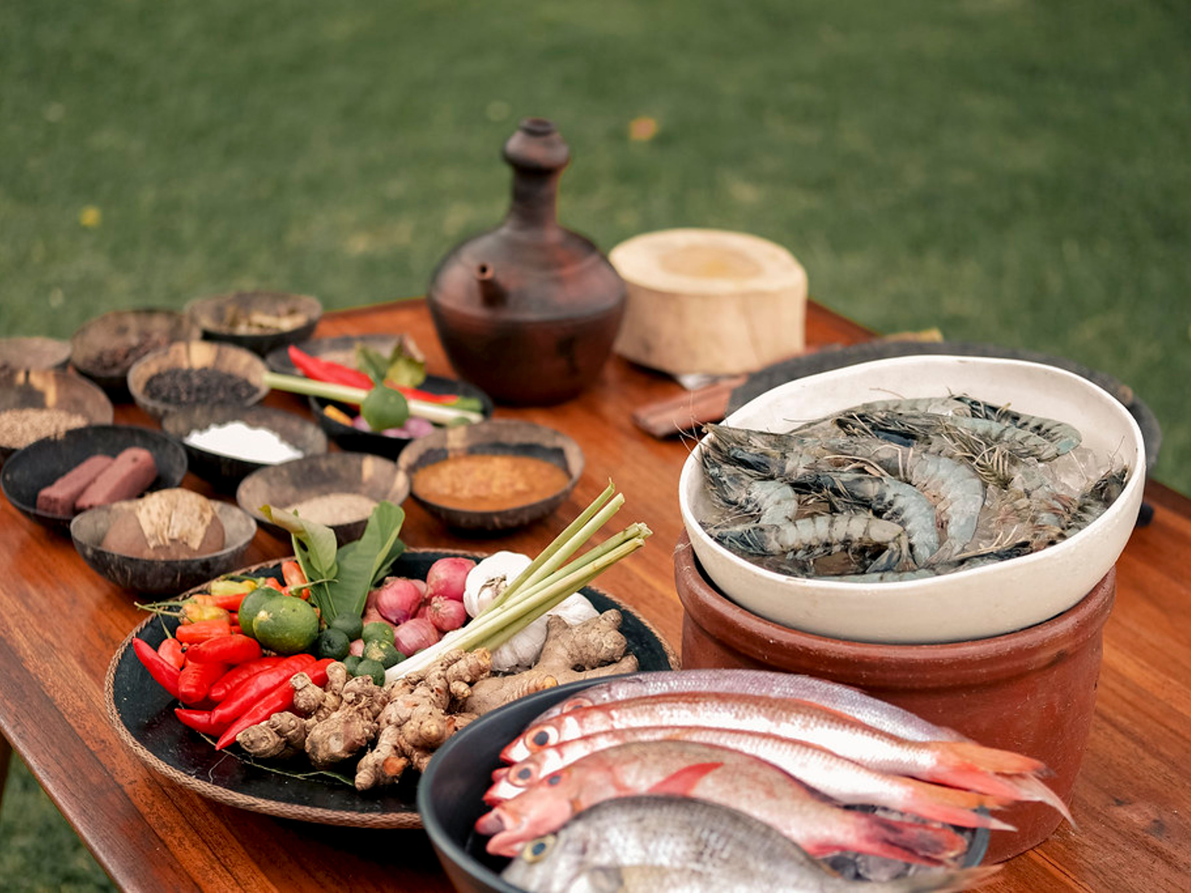 Catch and Cook a Seafood Adventure