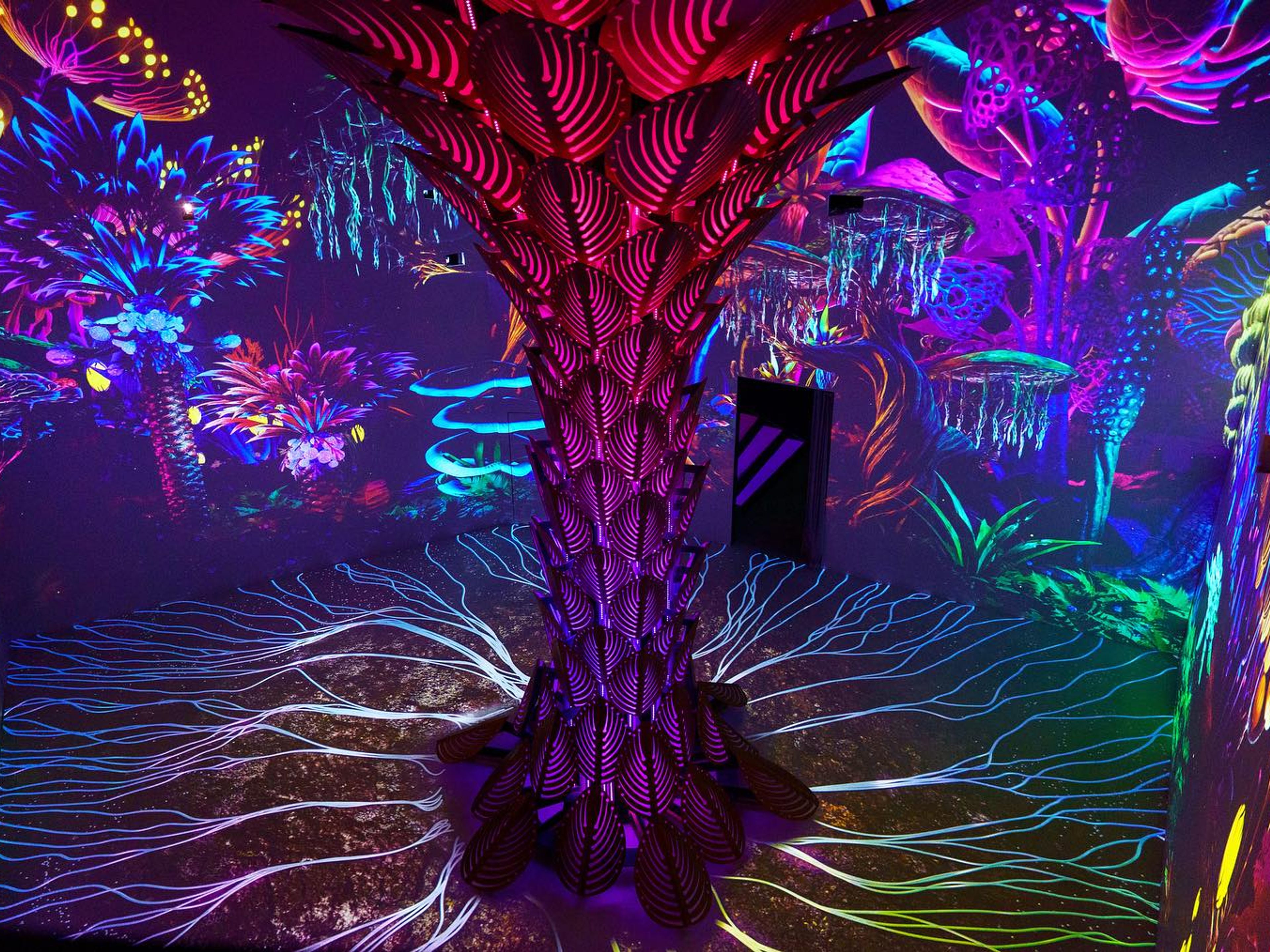 Cinema Mystica Experience