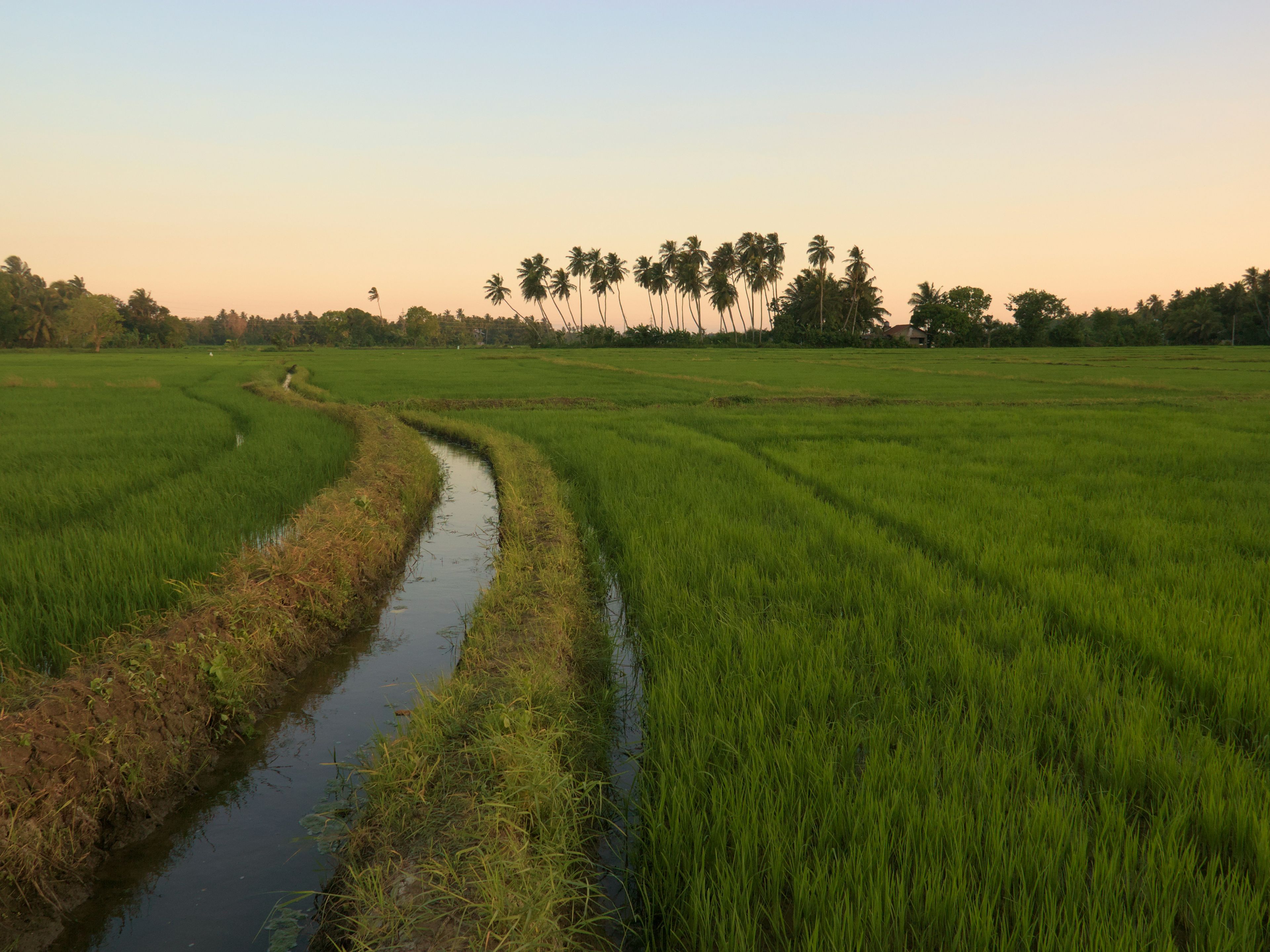 Life with Nature Walk for Children