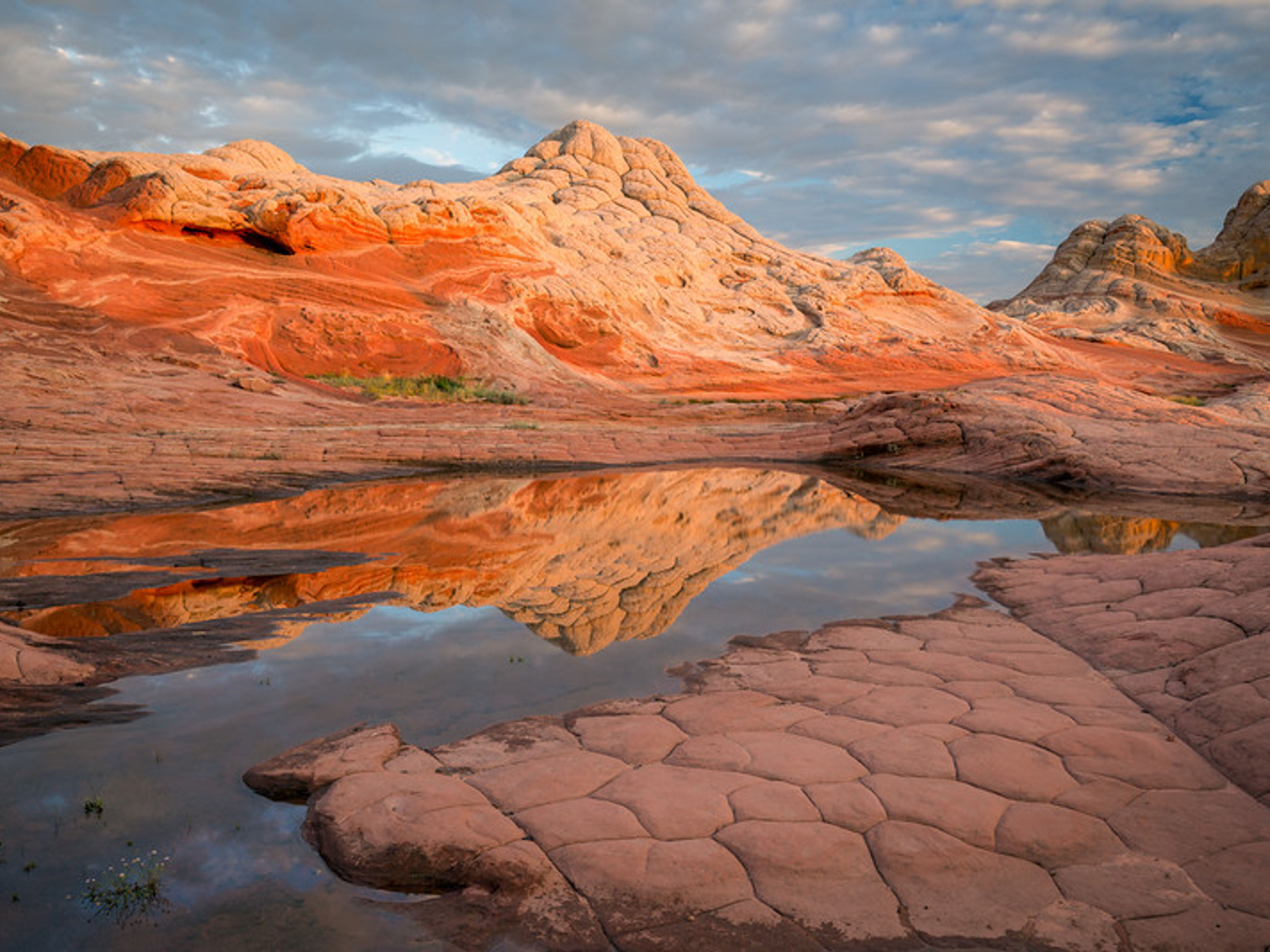 Amazing White Pockets of Vermilion Cliffs