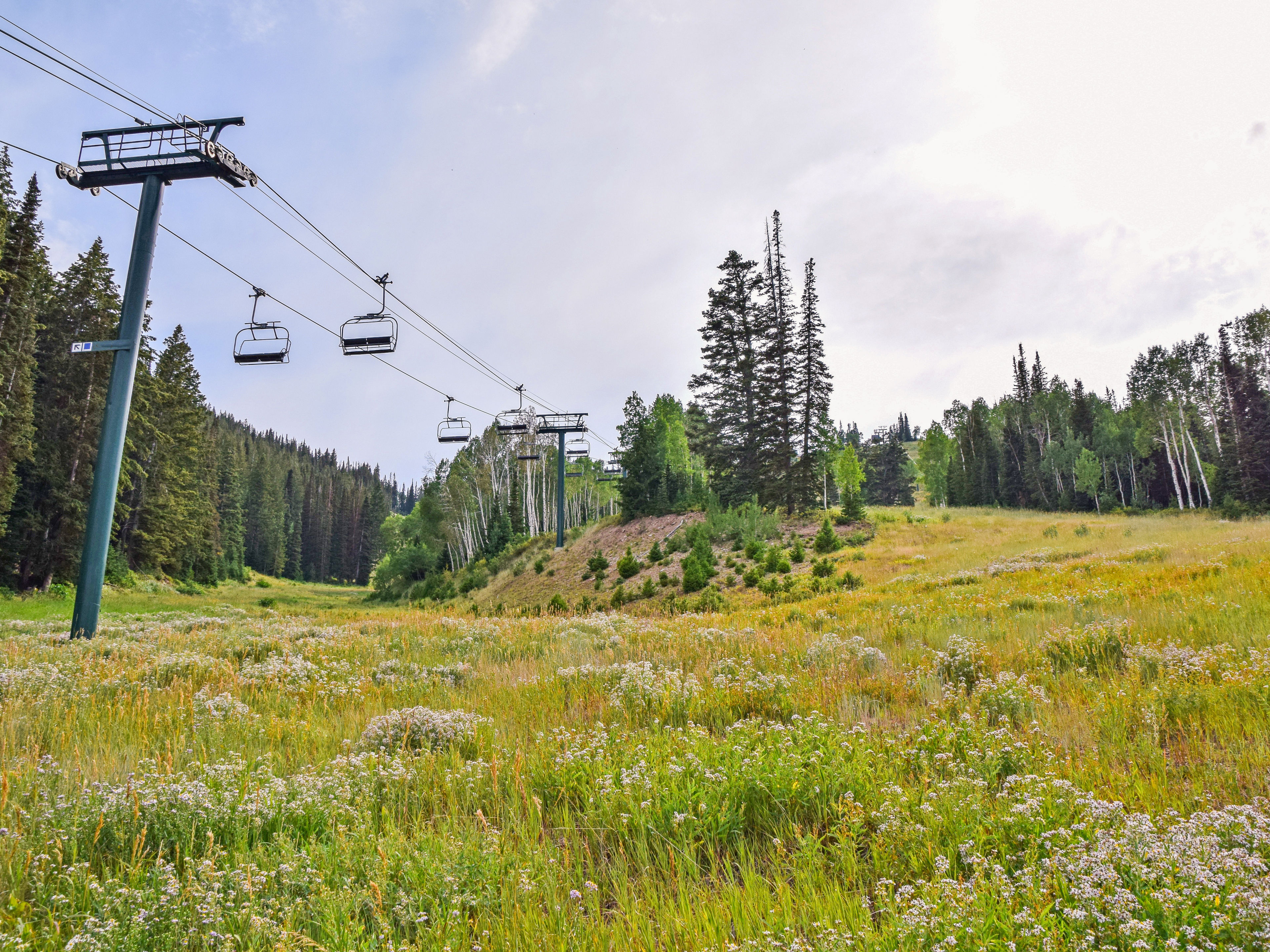 Guided Nature Walk & Forest Bathing 