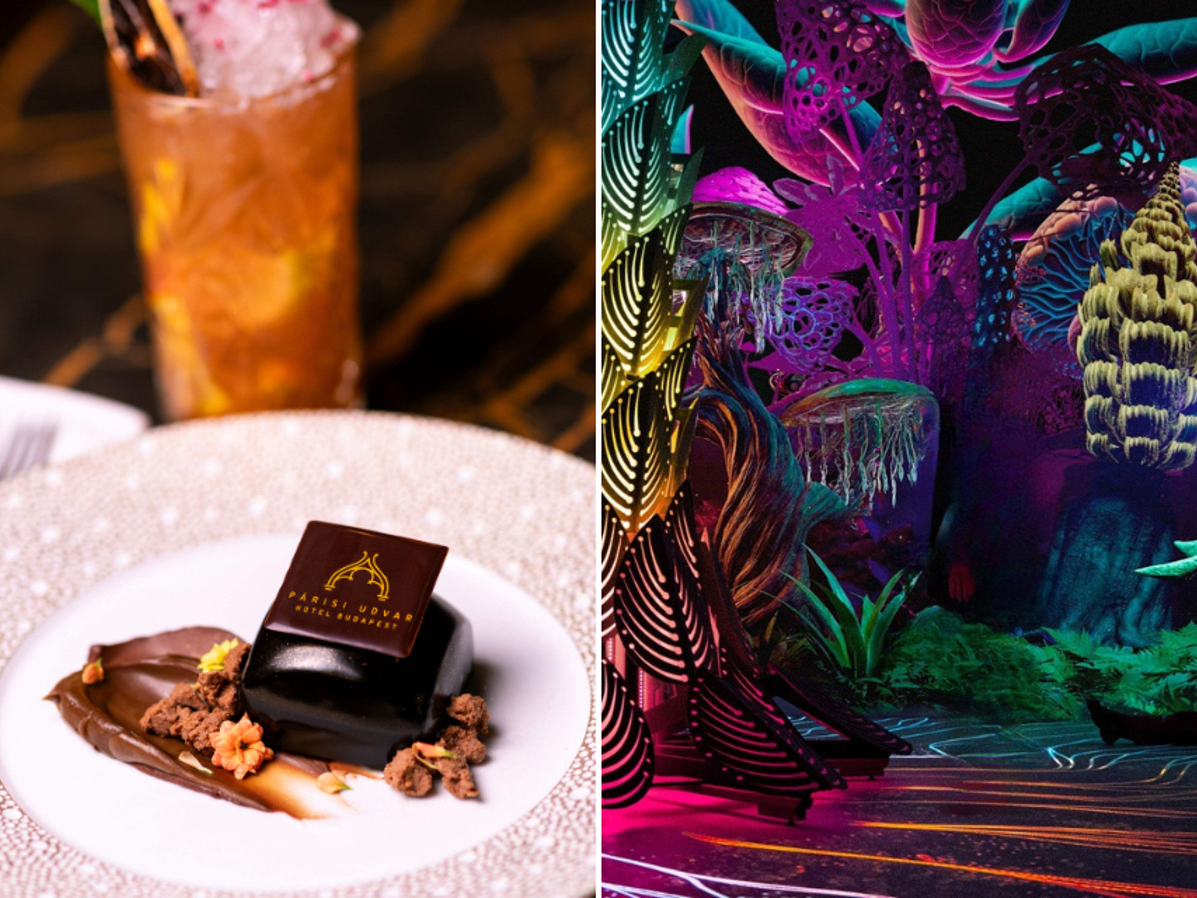 Delightful Café & Light Art Experience